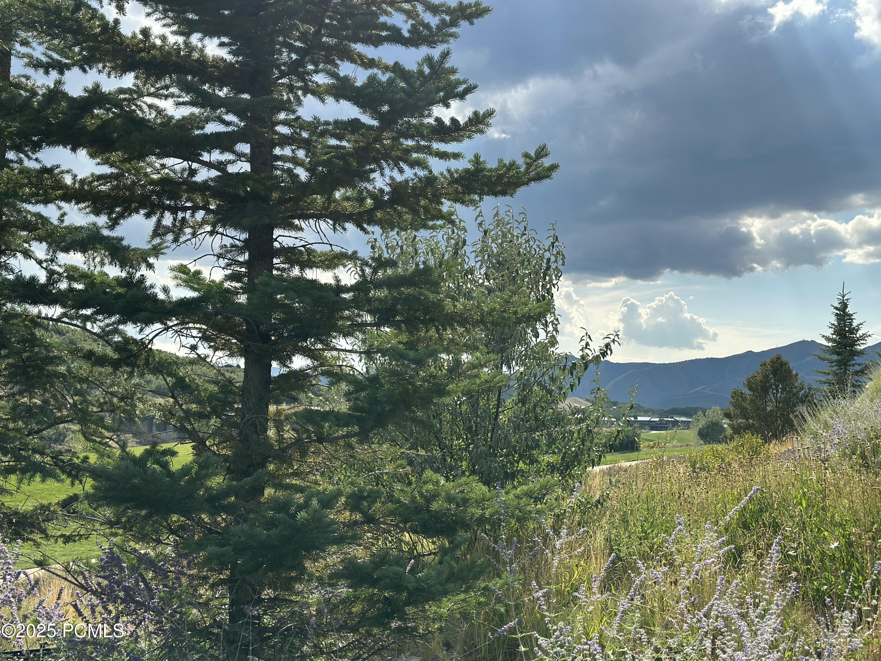 Kamas, Utah 84036, United States, 7 Bedrooms Bedrooms, ,8 BathroomsBathrooms,Residential,Active,231738