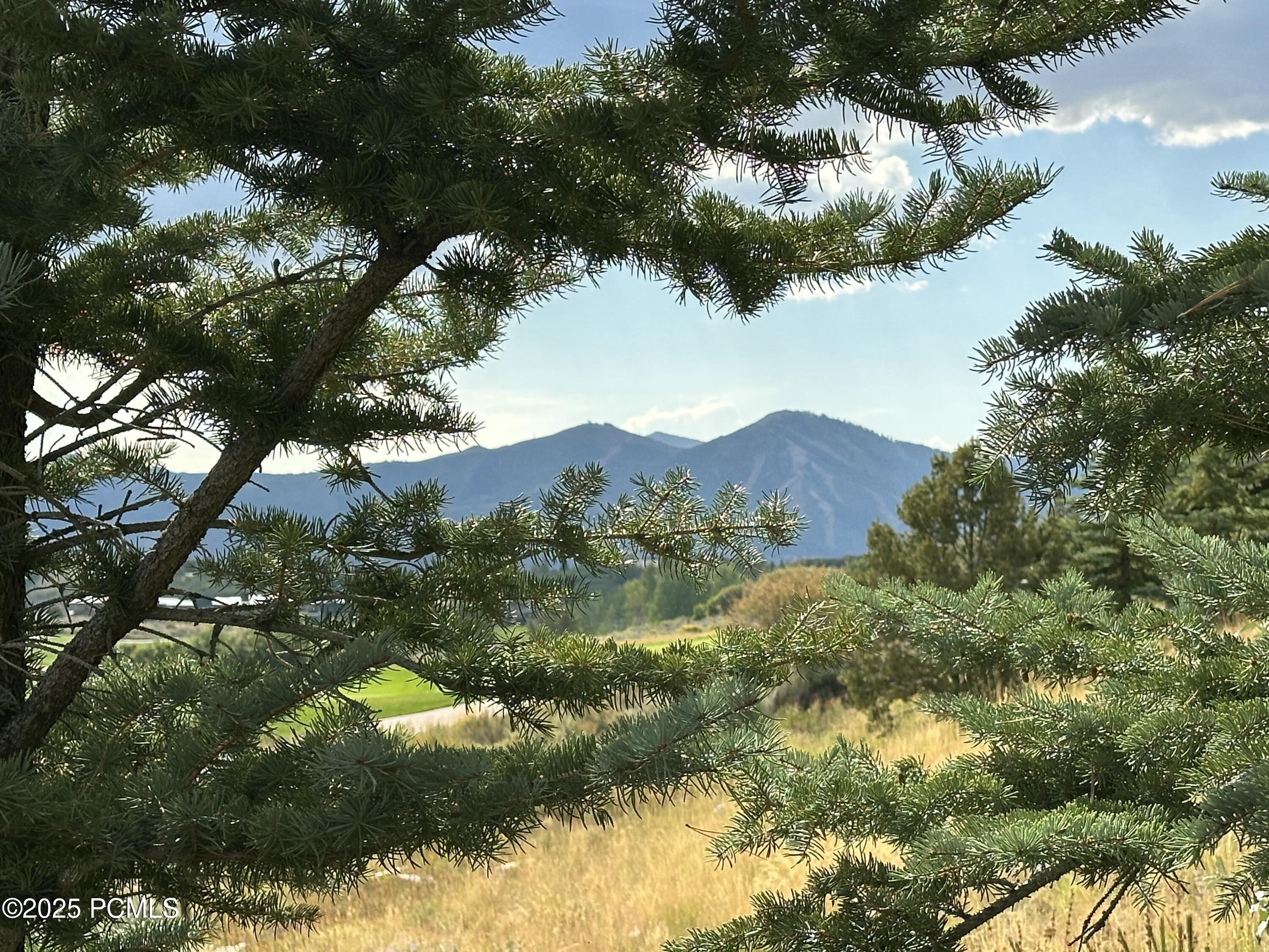 Kamas, Utah 84036, United States, 7 Bedrooms Bedrooms, ,8 BathroomsBathrooms,Residential,Active,231738