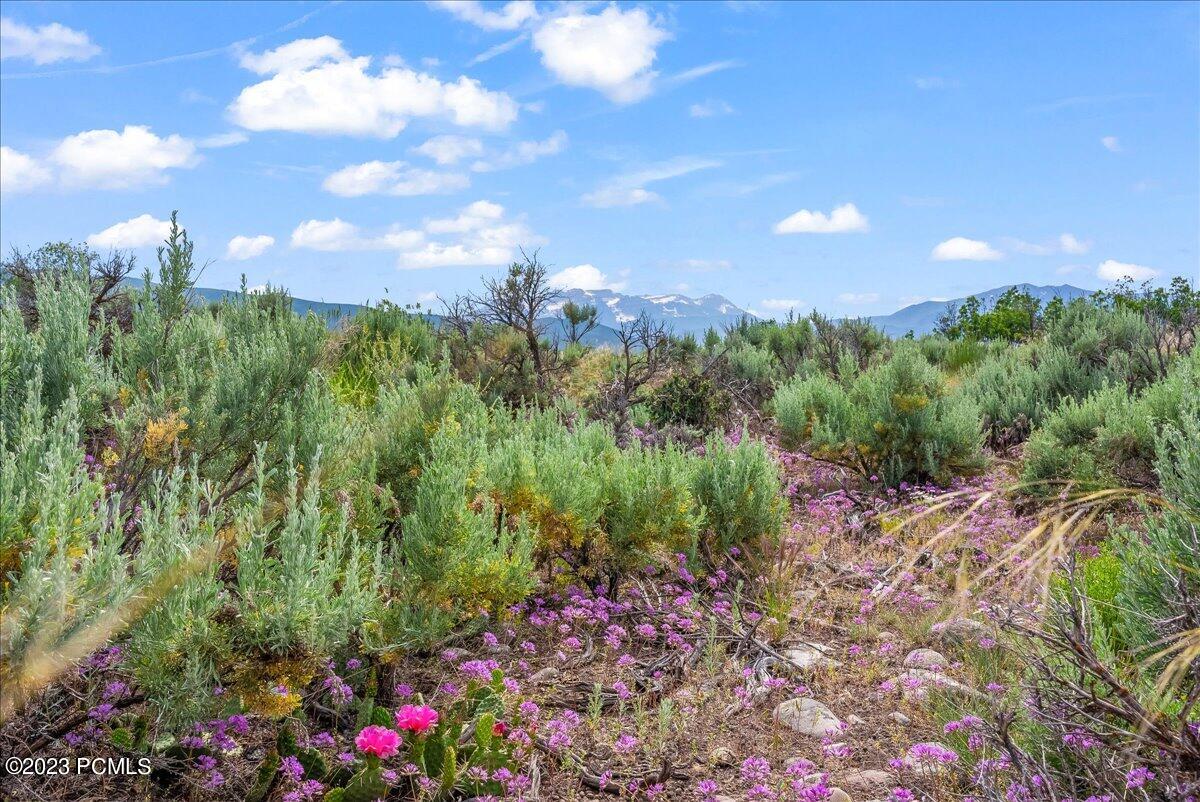 11 Skyline View Drive, Heber City, Utah image 8