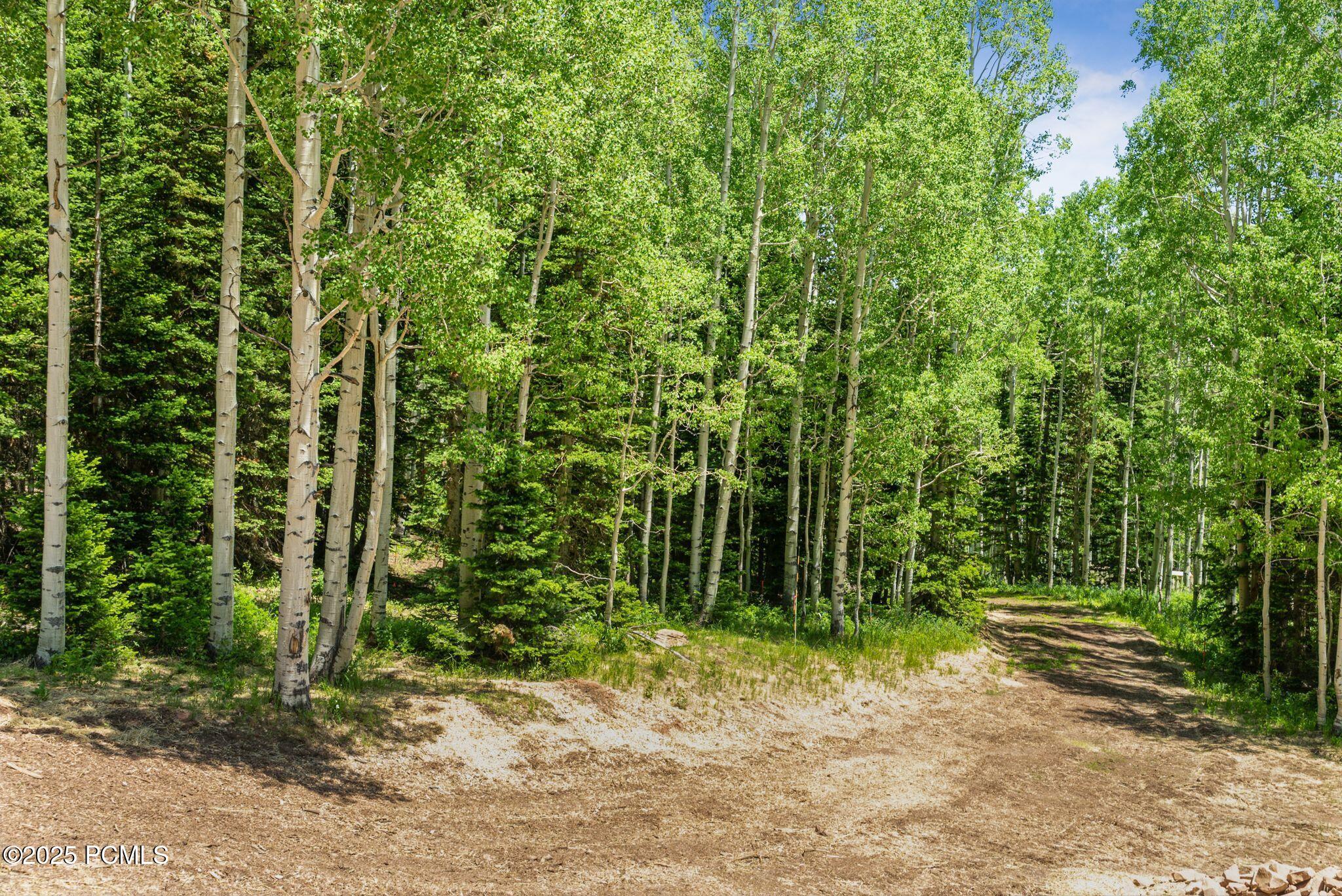 Park City, Utah 84060, United States, ,Land,Active,158538