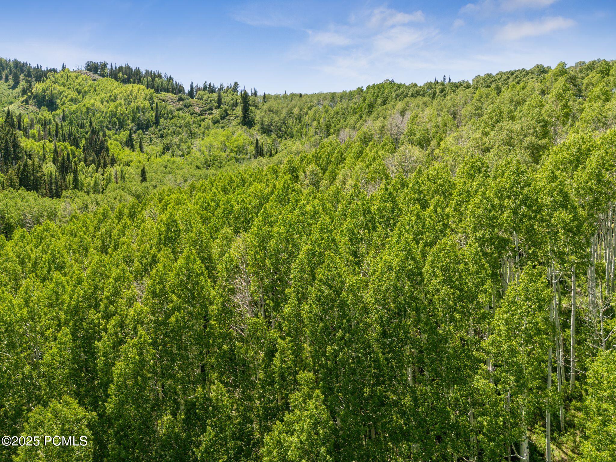 Park City, Utah 84060, United States, ,Land,Active,158538
