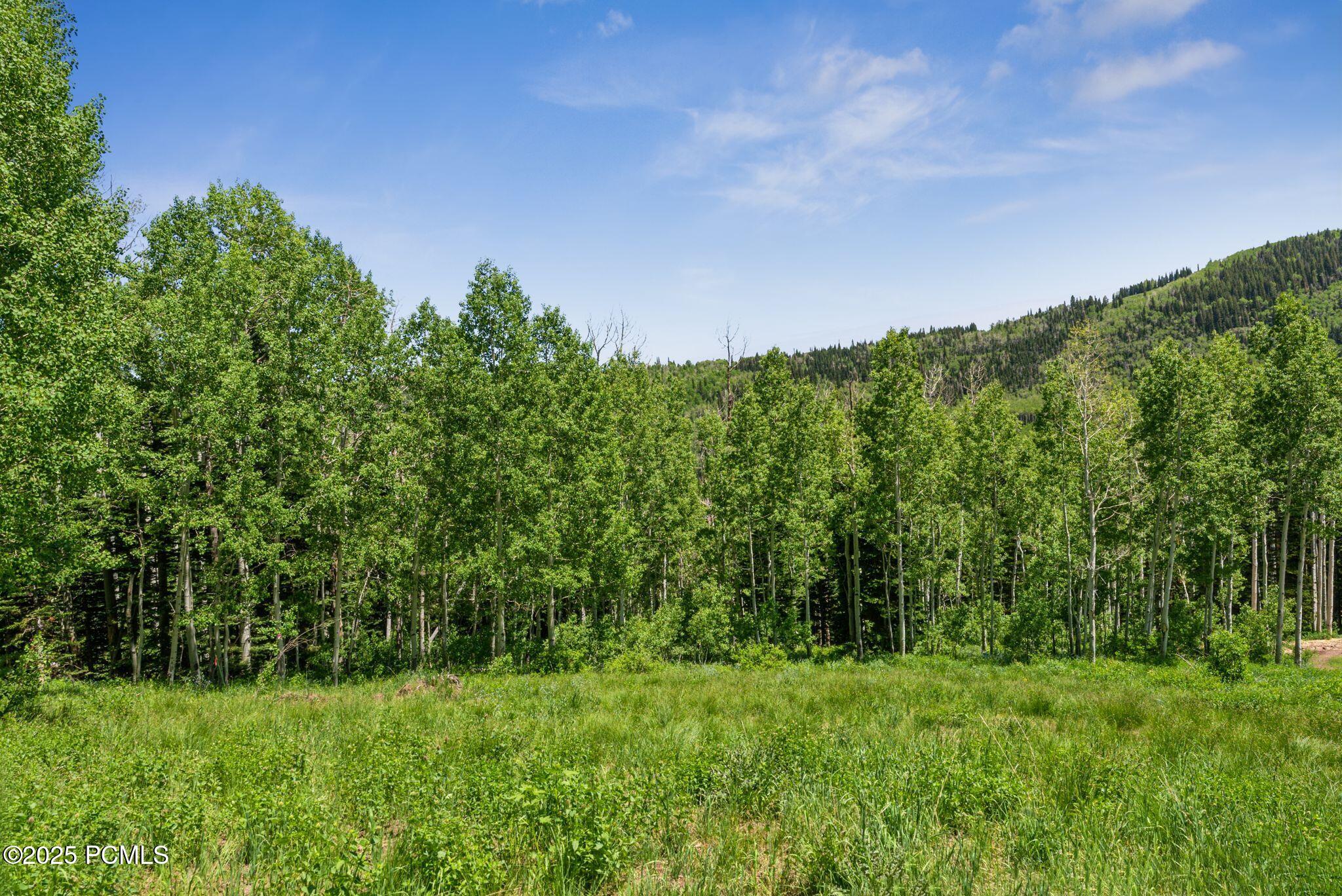 Park City, Utah 84060, United States, ,Land,Active,158538
