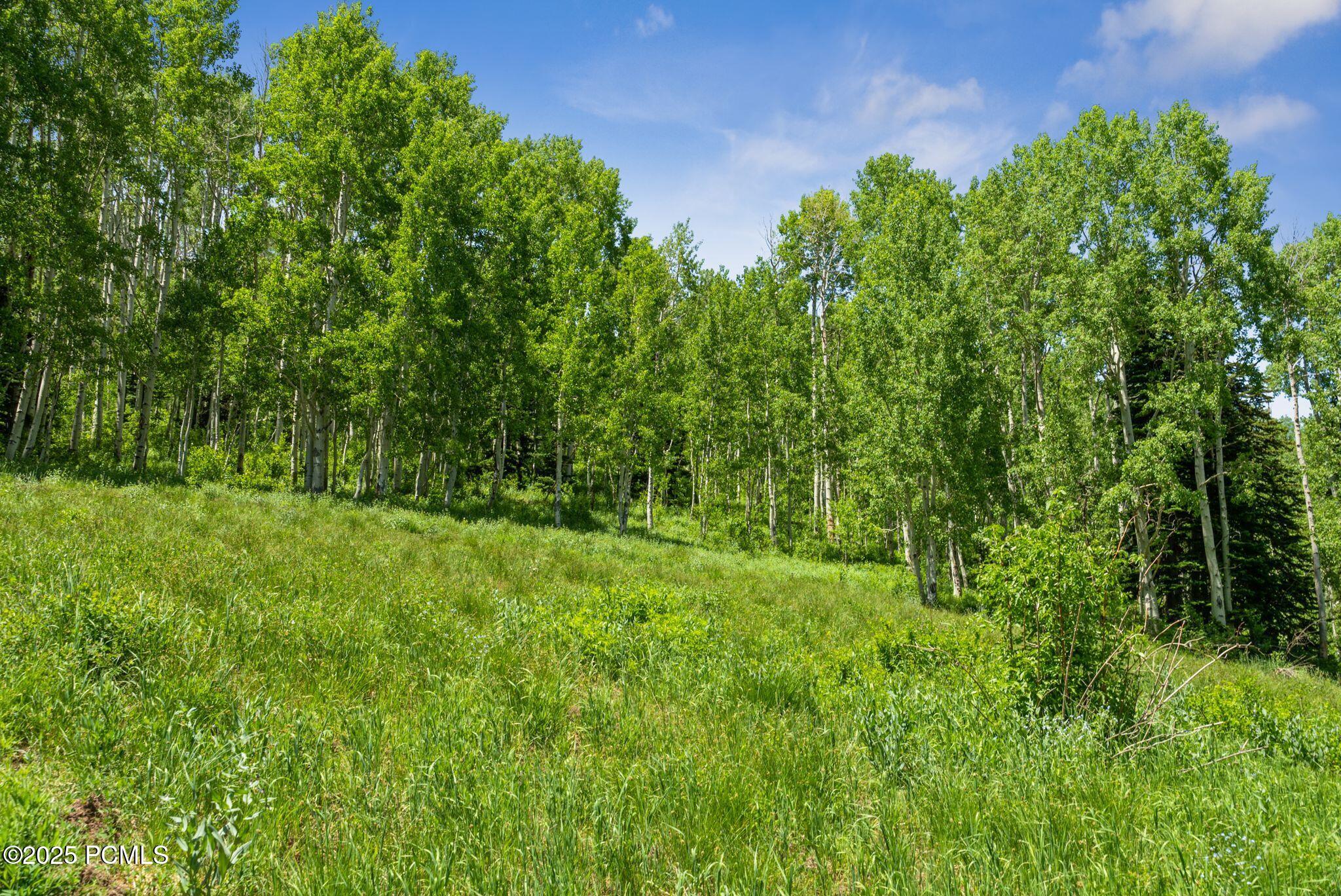 Park City, Utah 84060, United States, ,Land,Active,158538