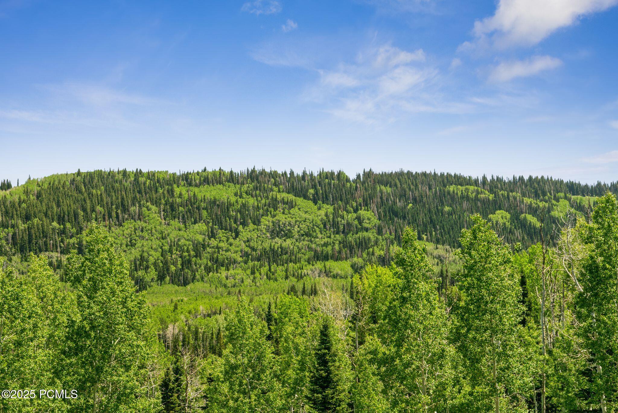 Park City, Utah 84060, United States, ,Land,Active,158538