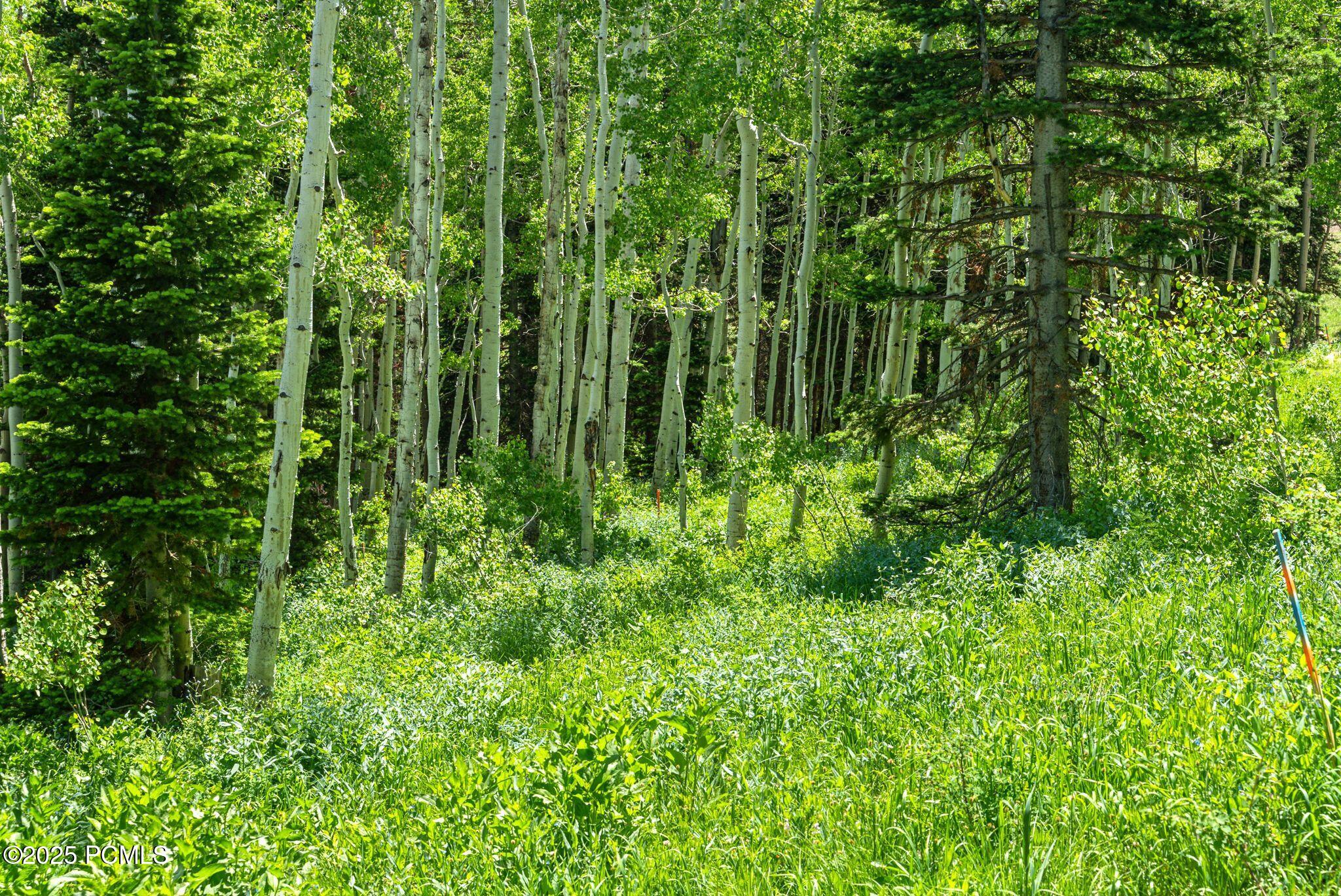 Park City, Utah 84060, United States, ,Land,Active,158538
