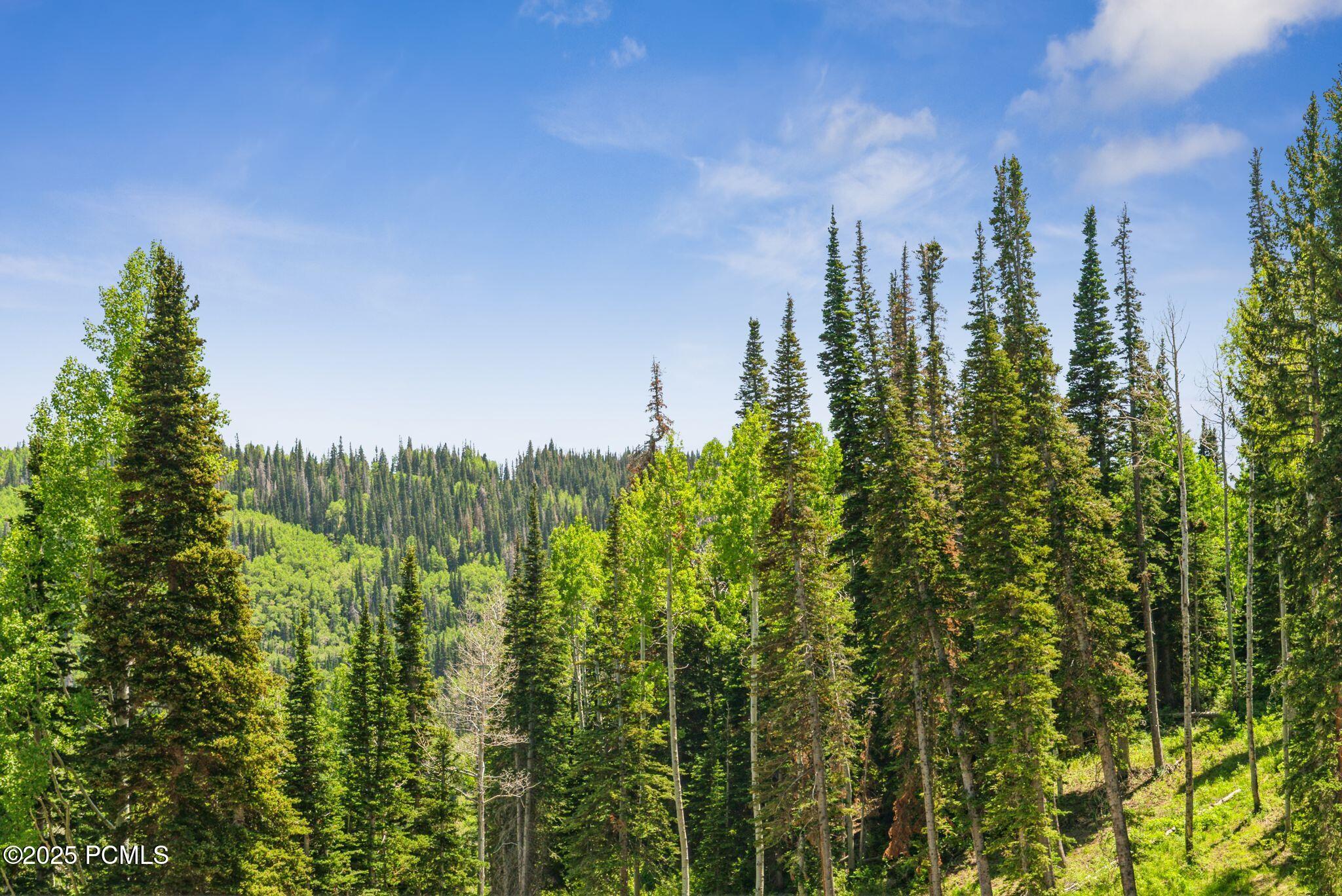 Park City, Utah 84060, United States, ,Land,Active,158538