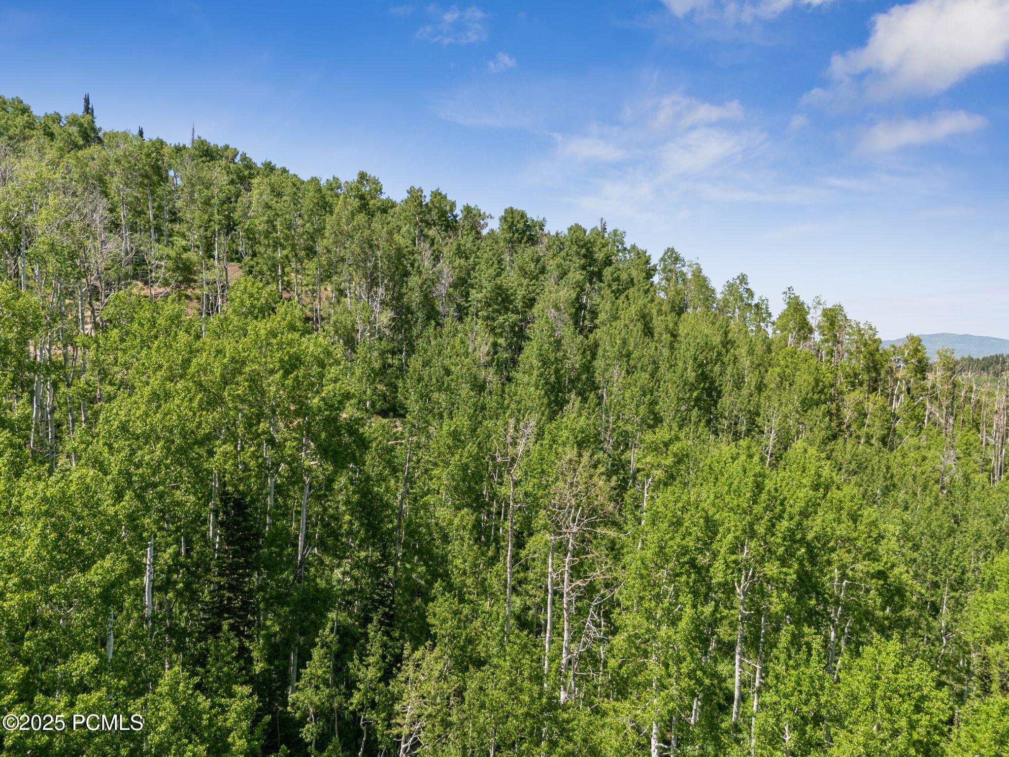 Park City, Utah 84060, United States, ,Land,Active,158538