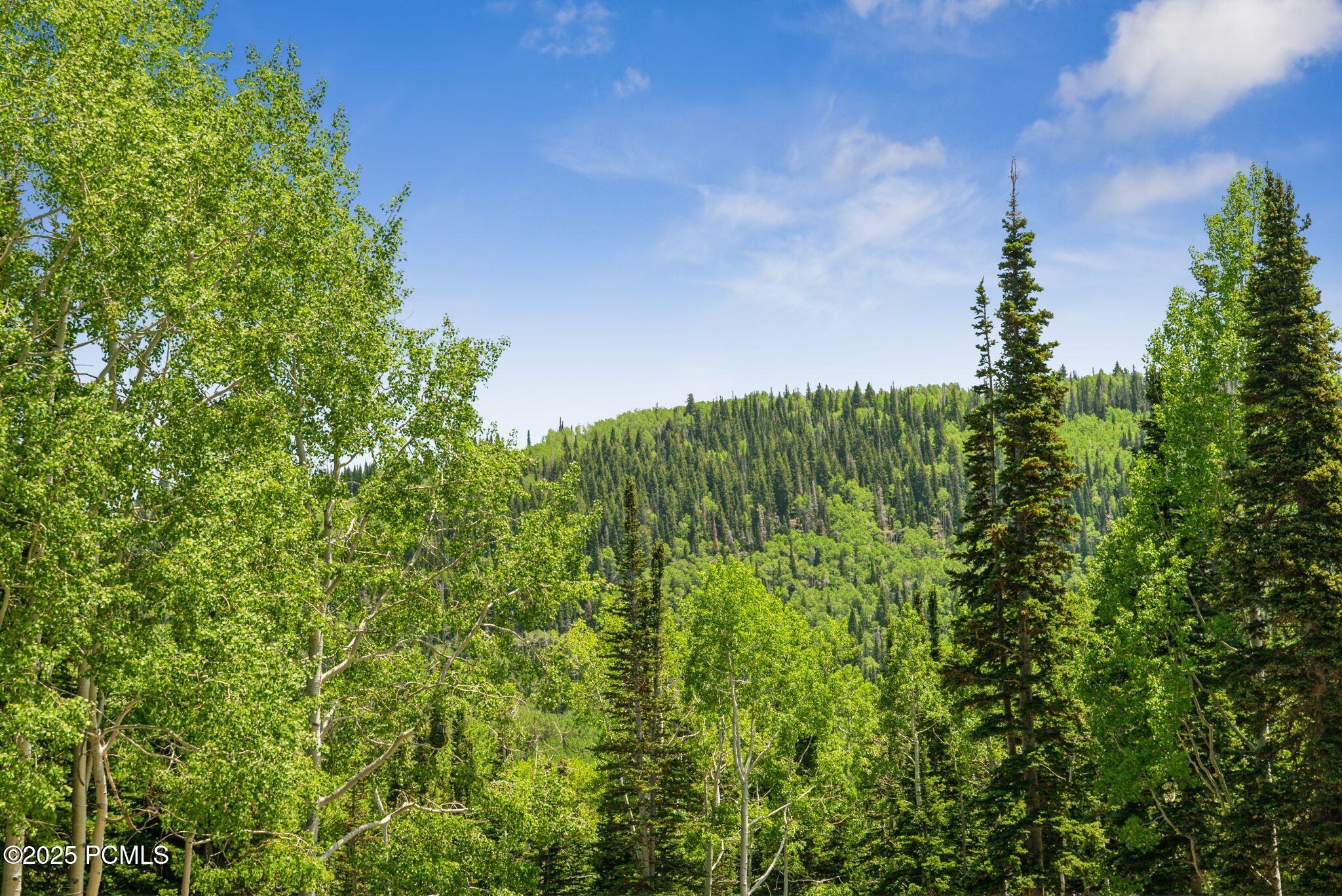 Park City, Utah 84060, United States, ,Land,Active,158538