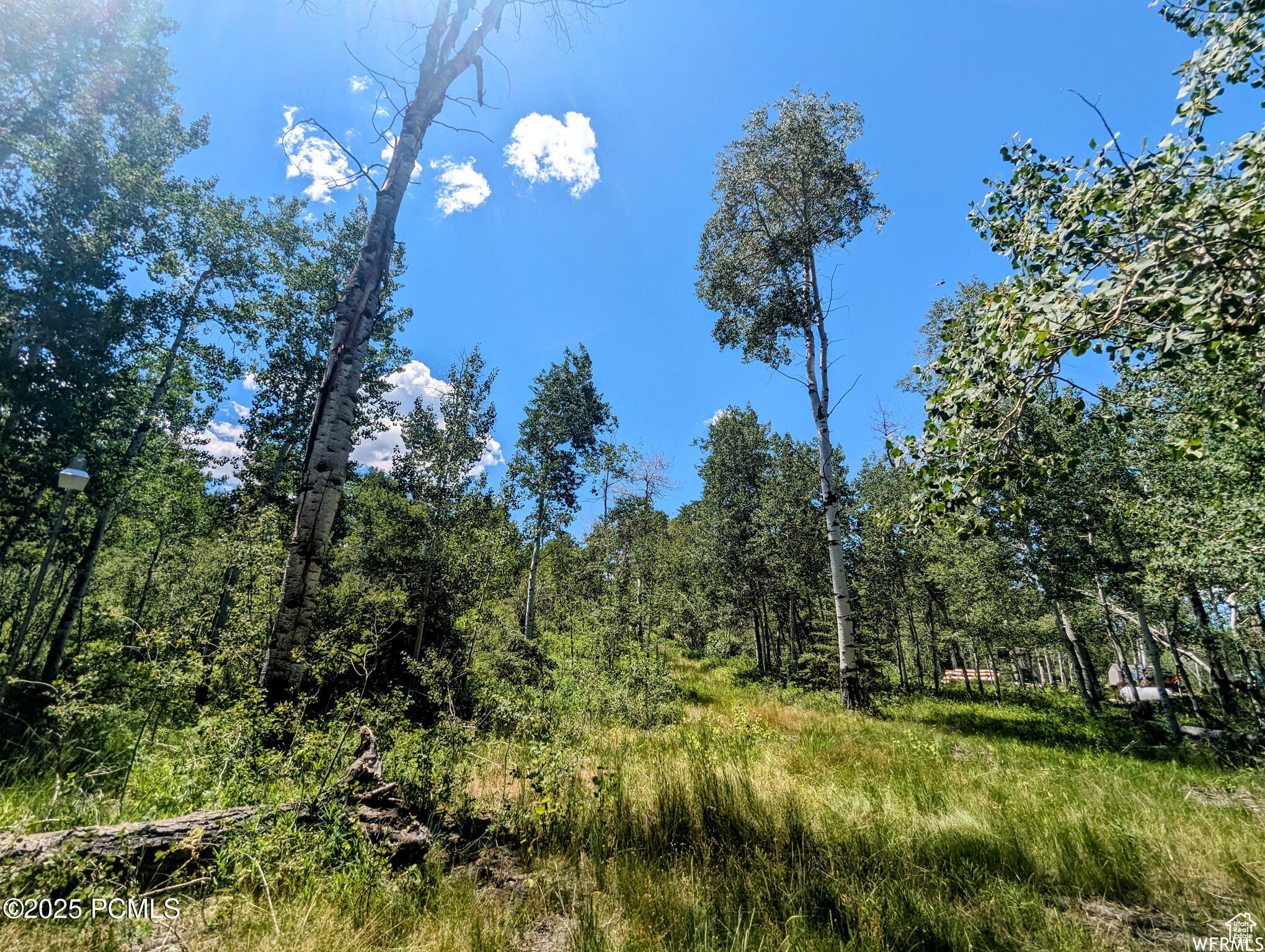 10579 E Fir Run Dr, Heber City, Utah image 6