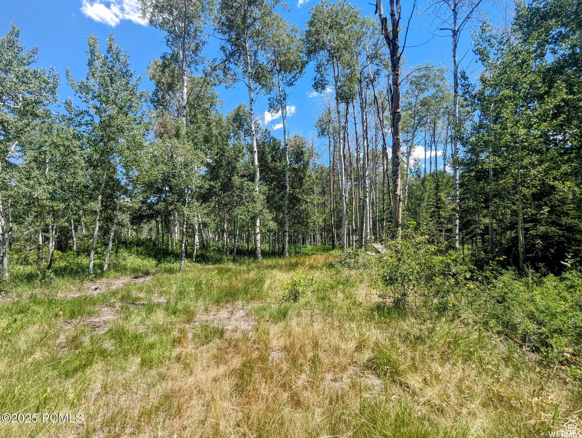 10579 E Fir Run Dr, Heber City, Utah image 1