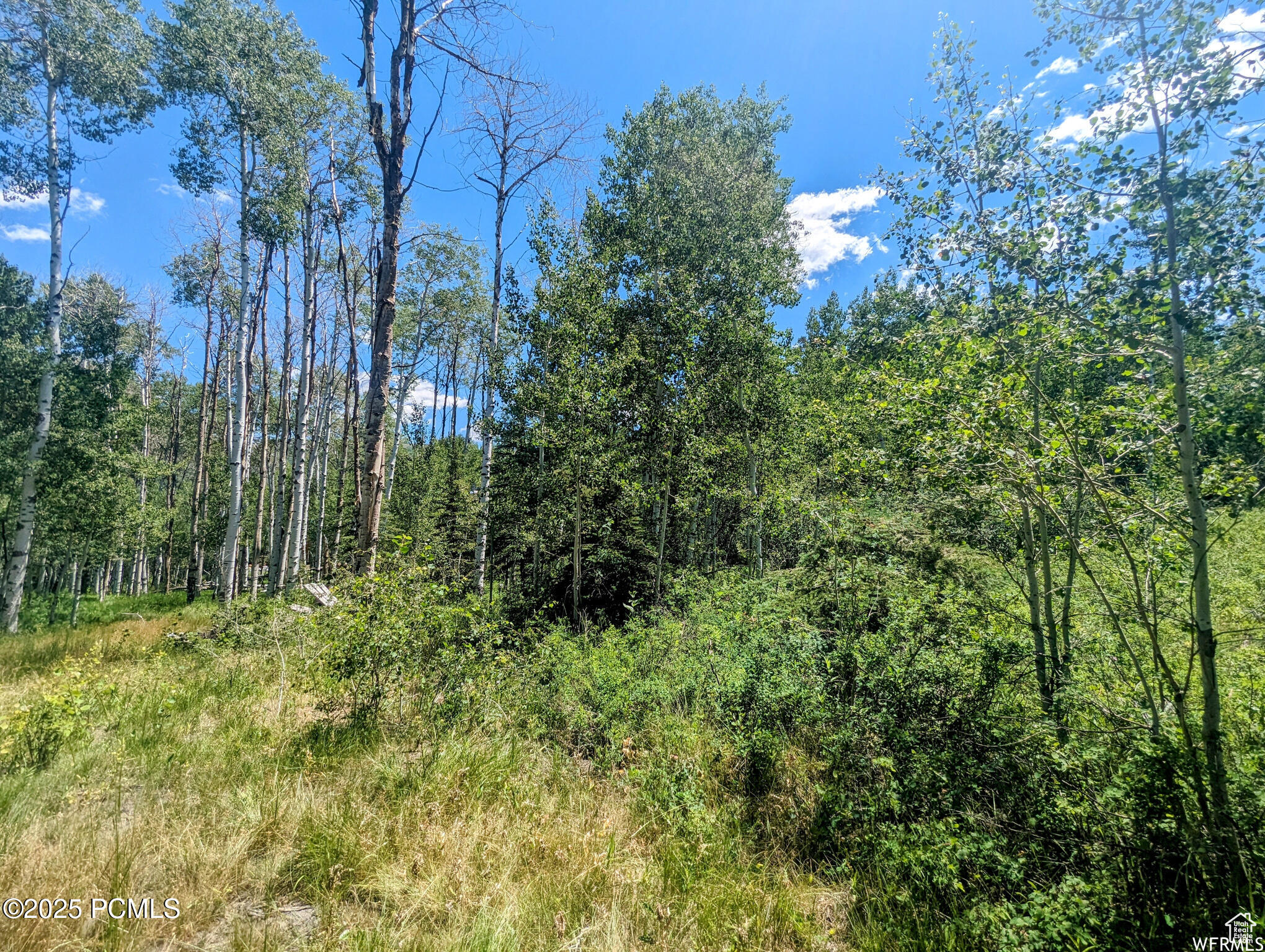 10579 E Fir Run Dr, Heber City, Utah image 9