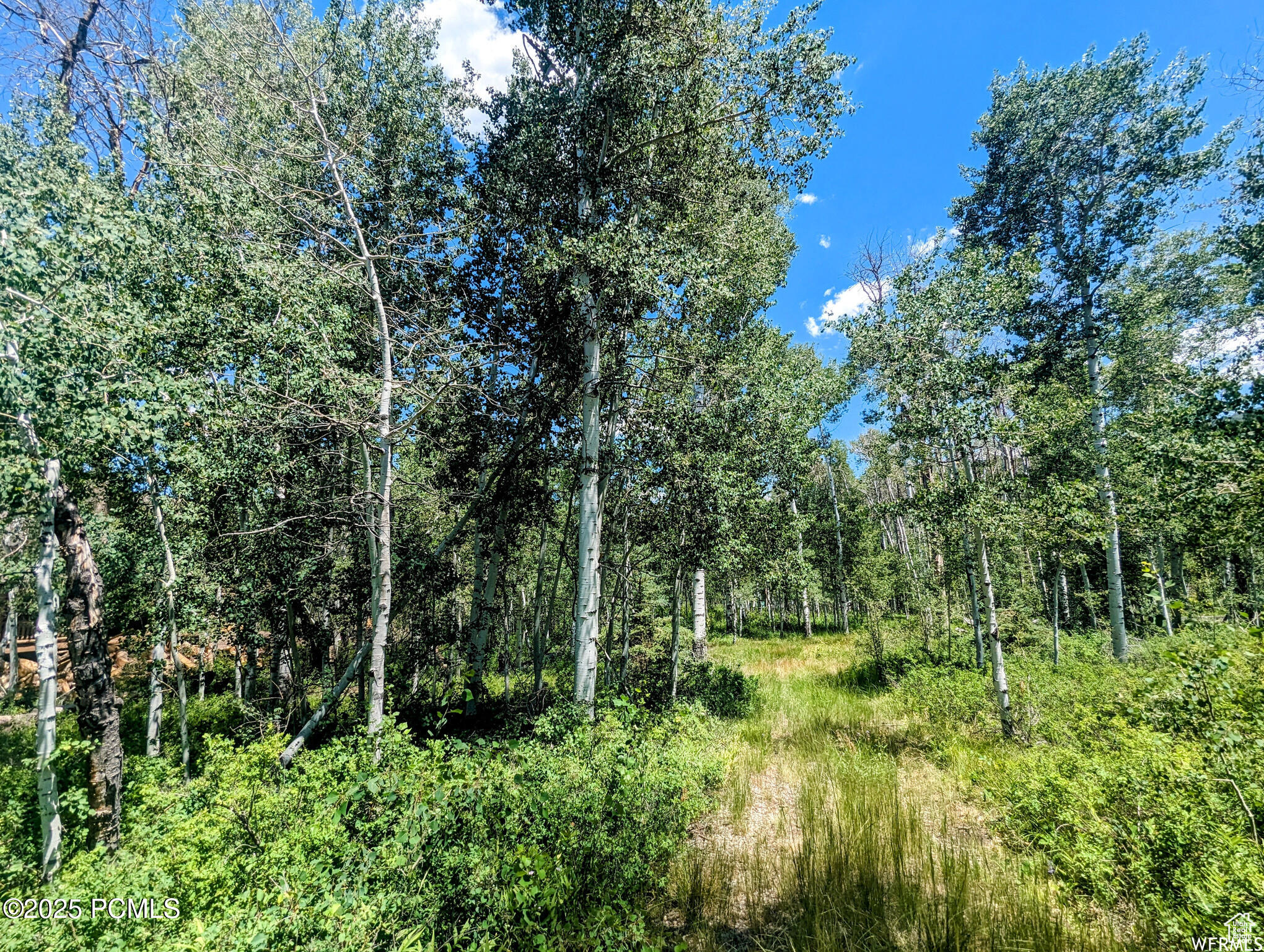 10579 E Fir Run Dr, Heber City, Utah image 11