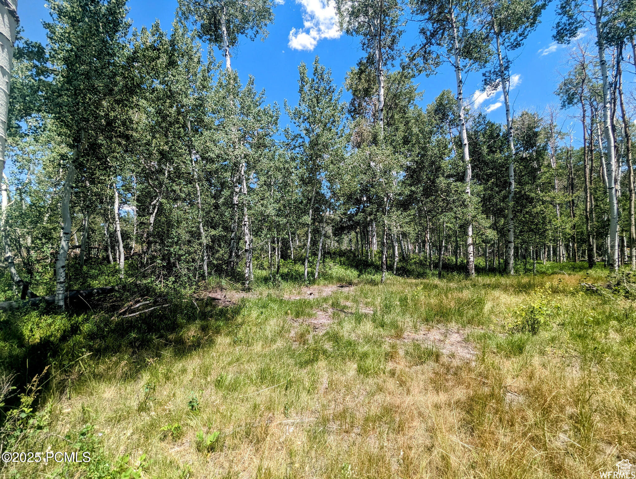 10579 E Fir Run Dr, Heber City, Utah image 5