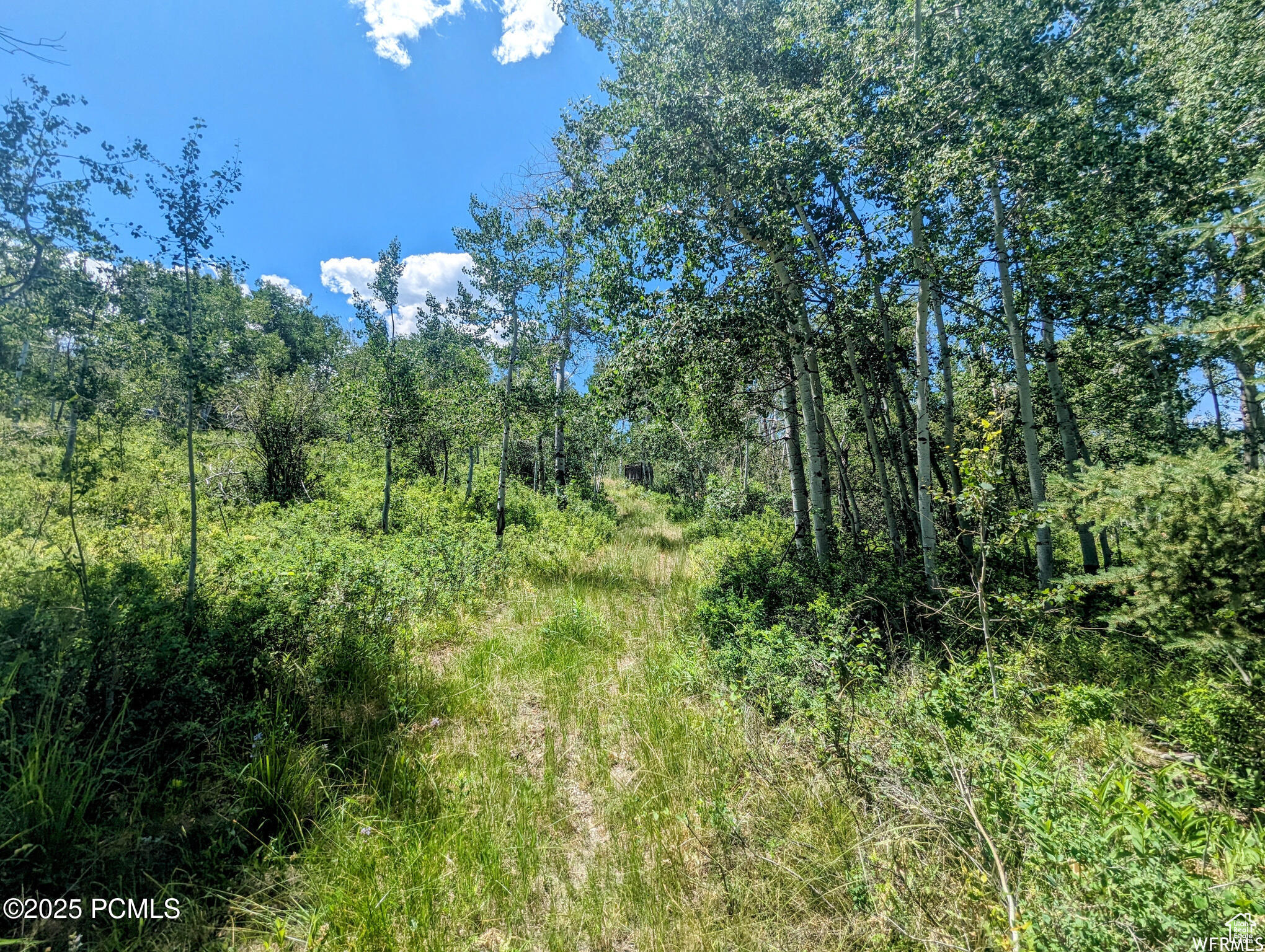 10579 E Fir Run Dr, Heber City, Utah image 2