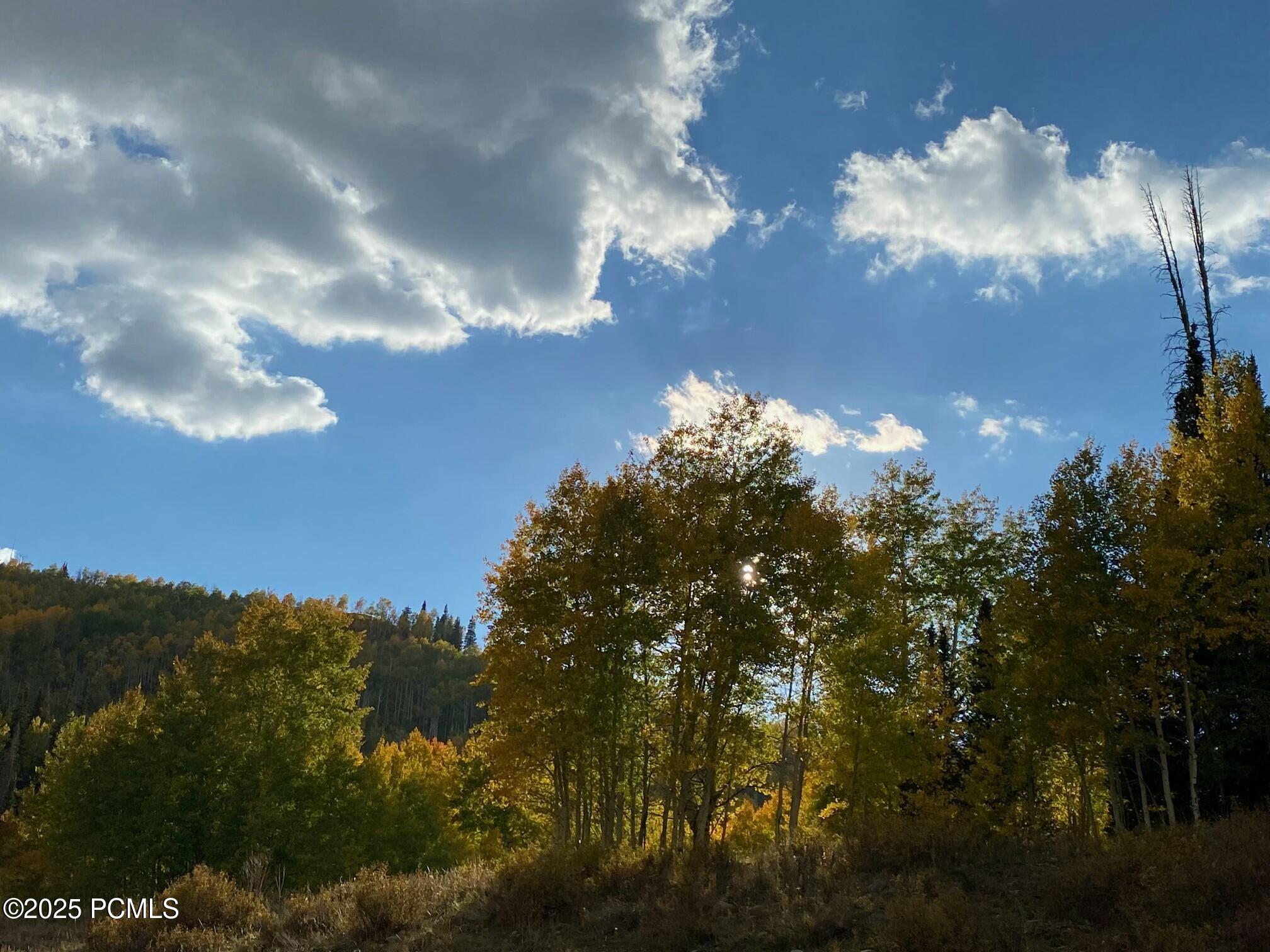 3954 Blue Spruce Drive, Heber City, Utah image 5