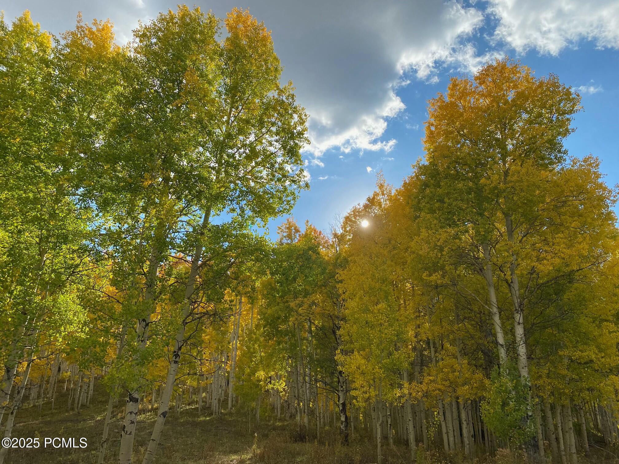 3954 Blue Spruce Drive, Heber City, Utah image 2