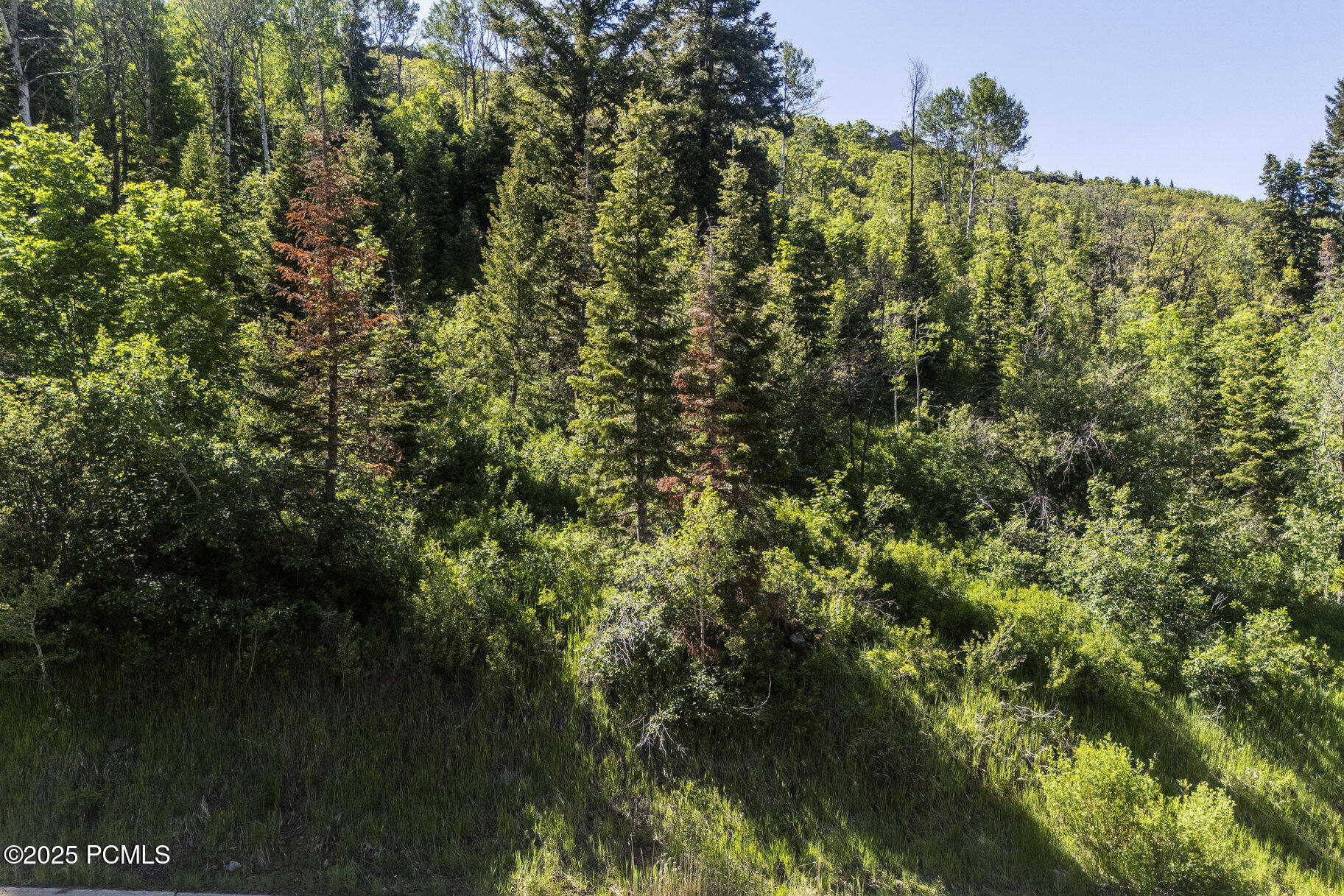 6890 Canyon Drive Court, Park City, Utah image 15
