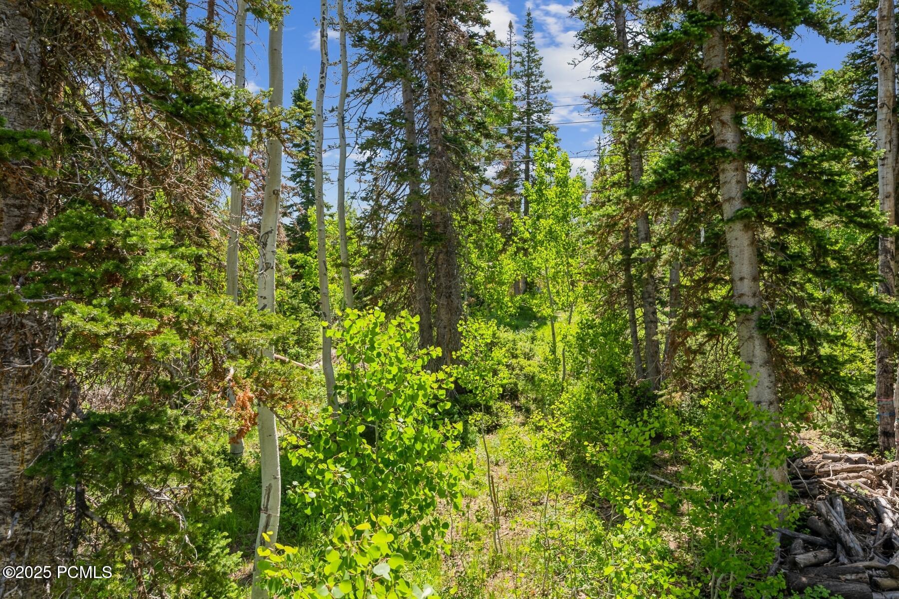 Park City, Utah 84060, United States, ,Land,Active,160328