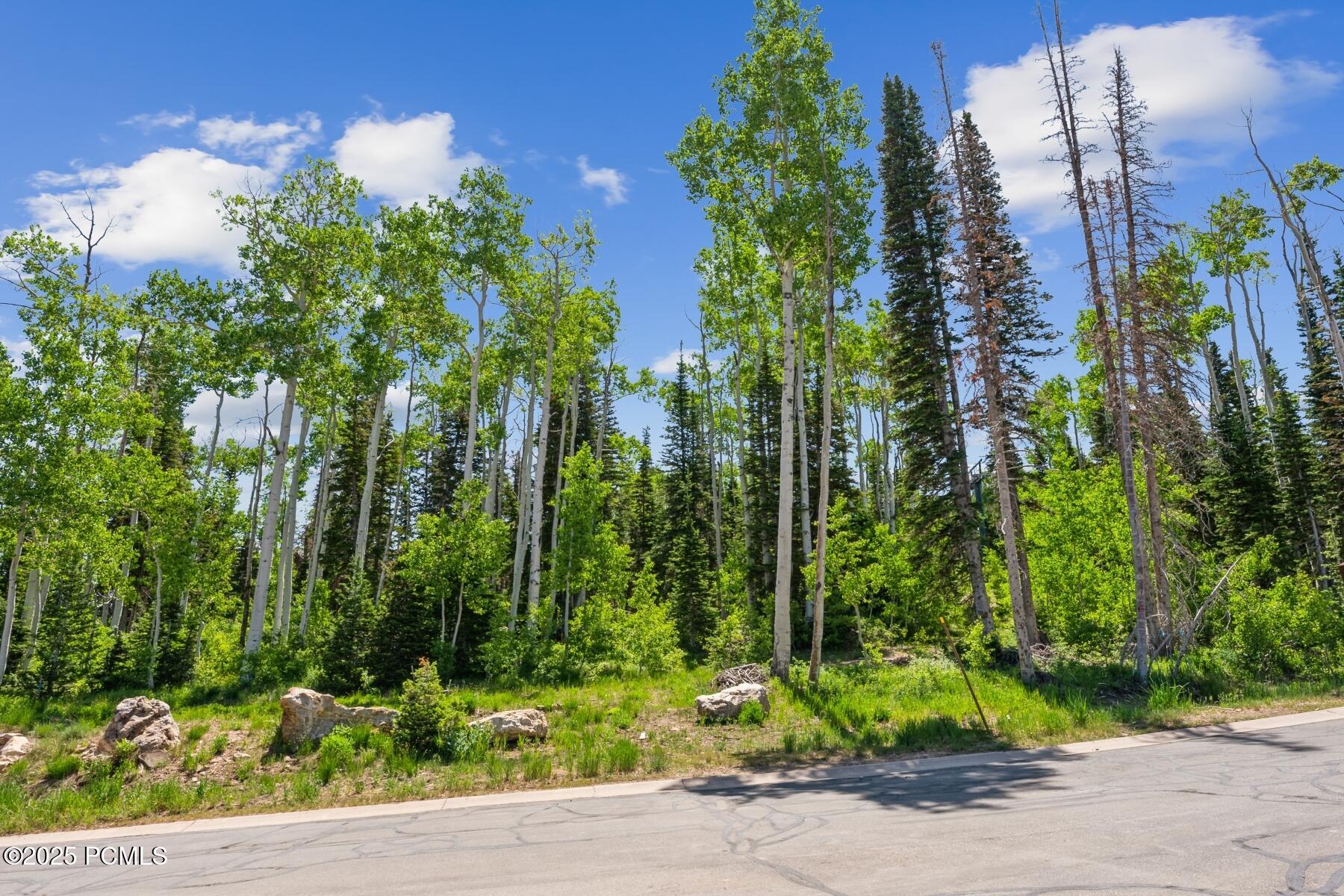 Park City, Utah 84060, United States, ,Land,Active,160328