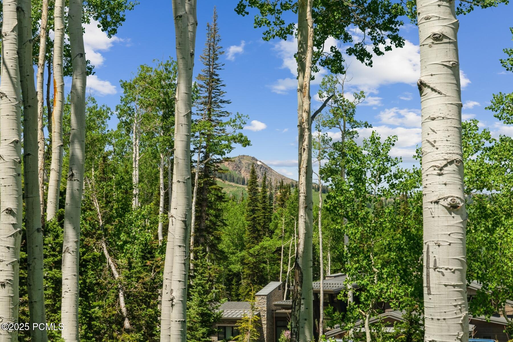 Park City, Utah 84060, United States, ,Land,Active,160328