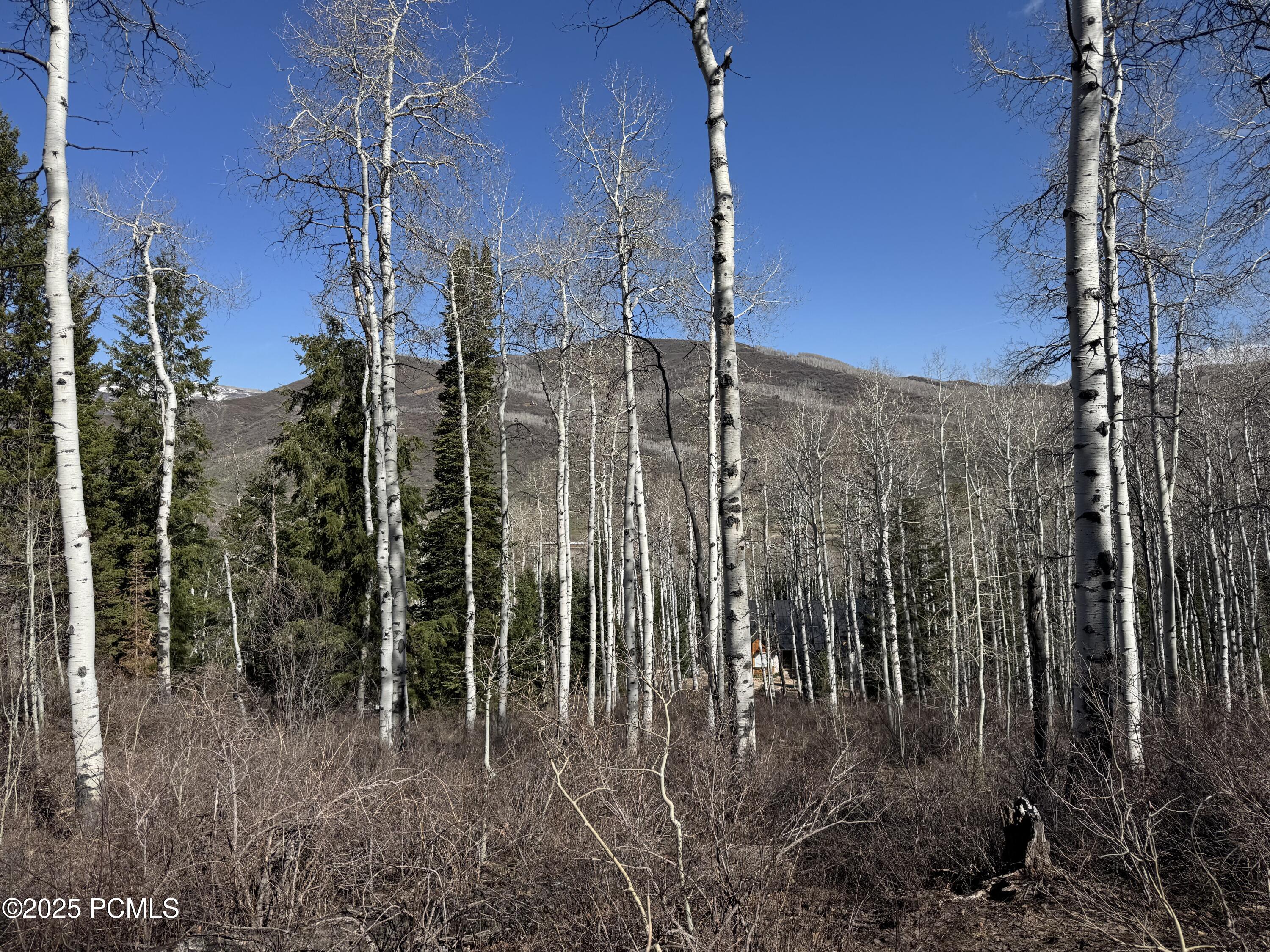 663 Red Fir Way, Oakley, Utah image 11