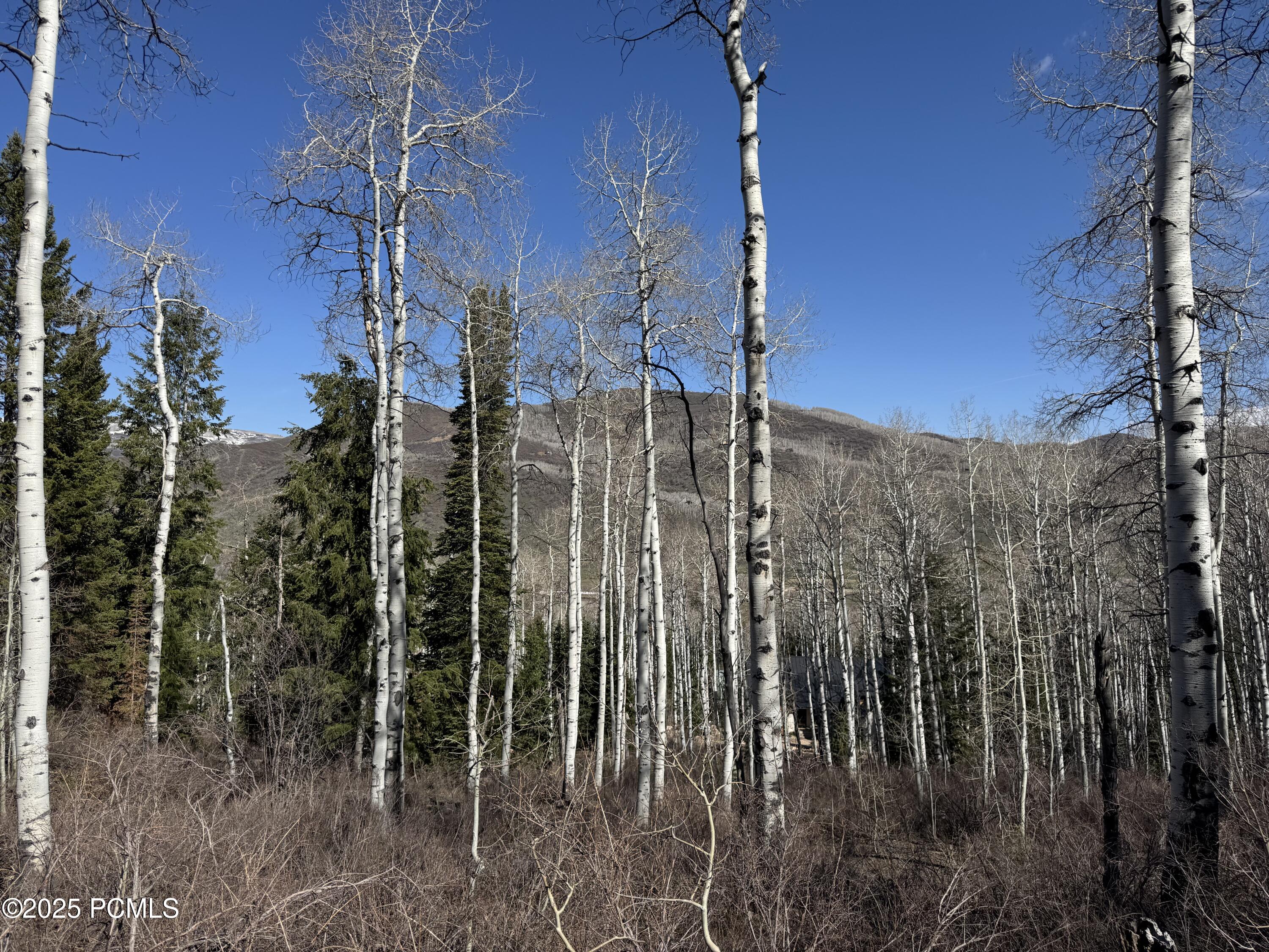 663 Red Fir Way, Oakley, Utah image 13