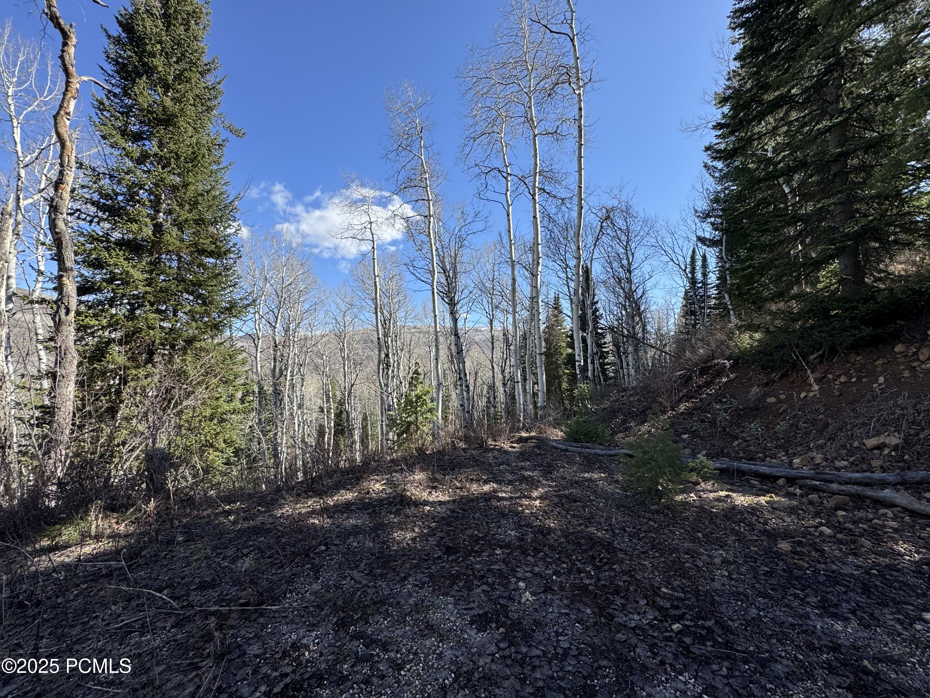 663 Red Fir Way, Oakley, Utah image 3