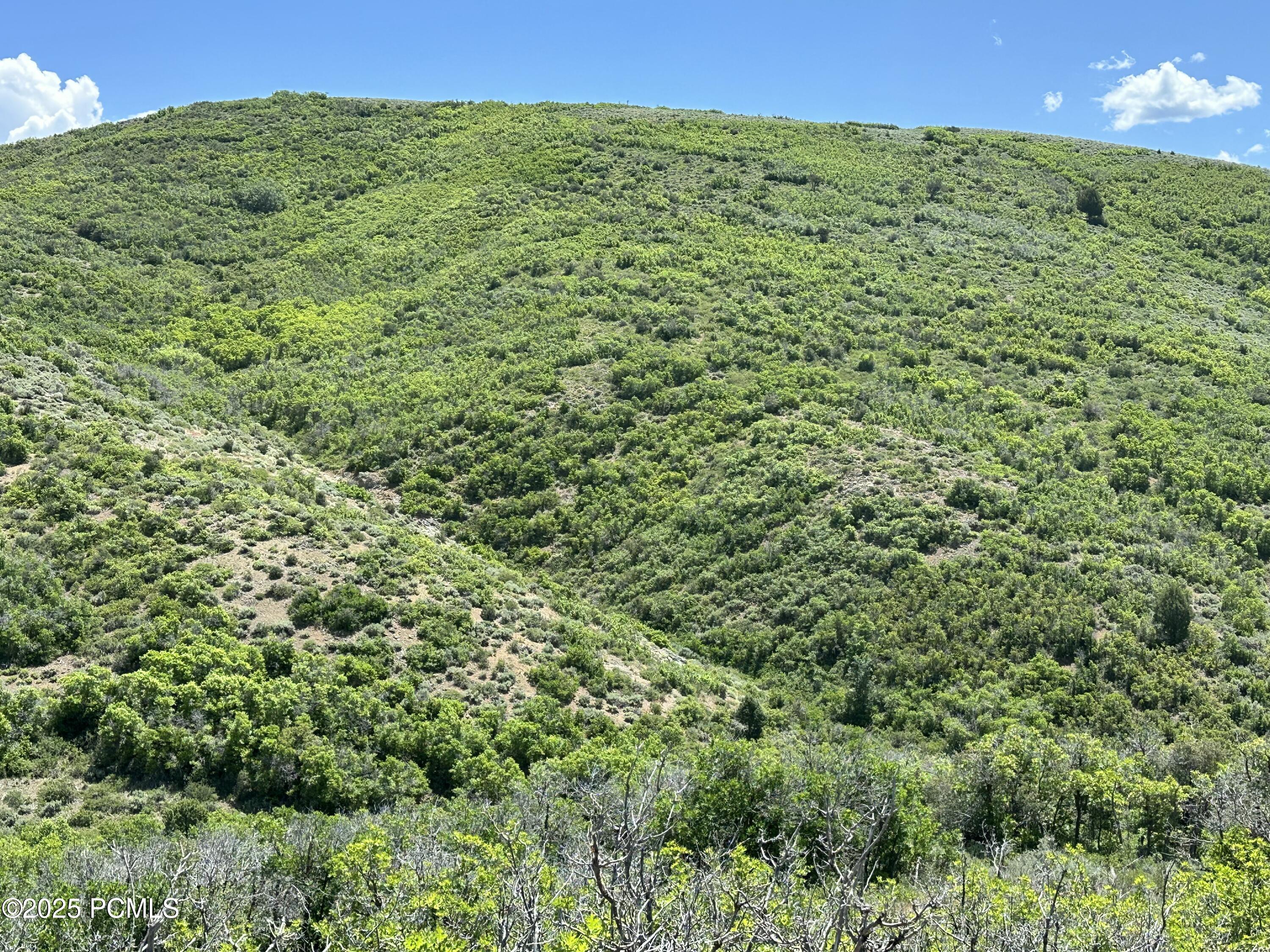 1354 E Gleaming Hills Way, Kamas, Utah image 12