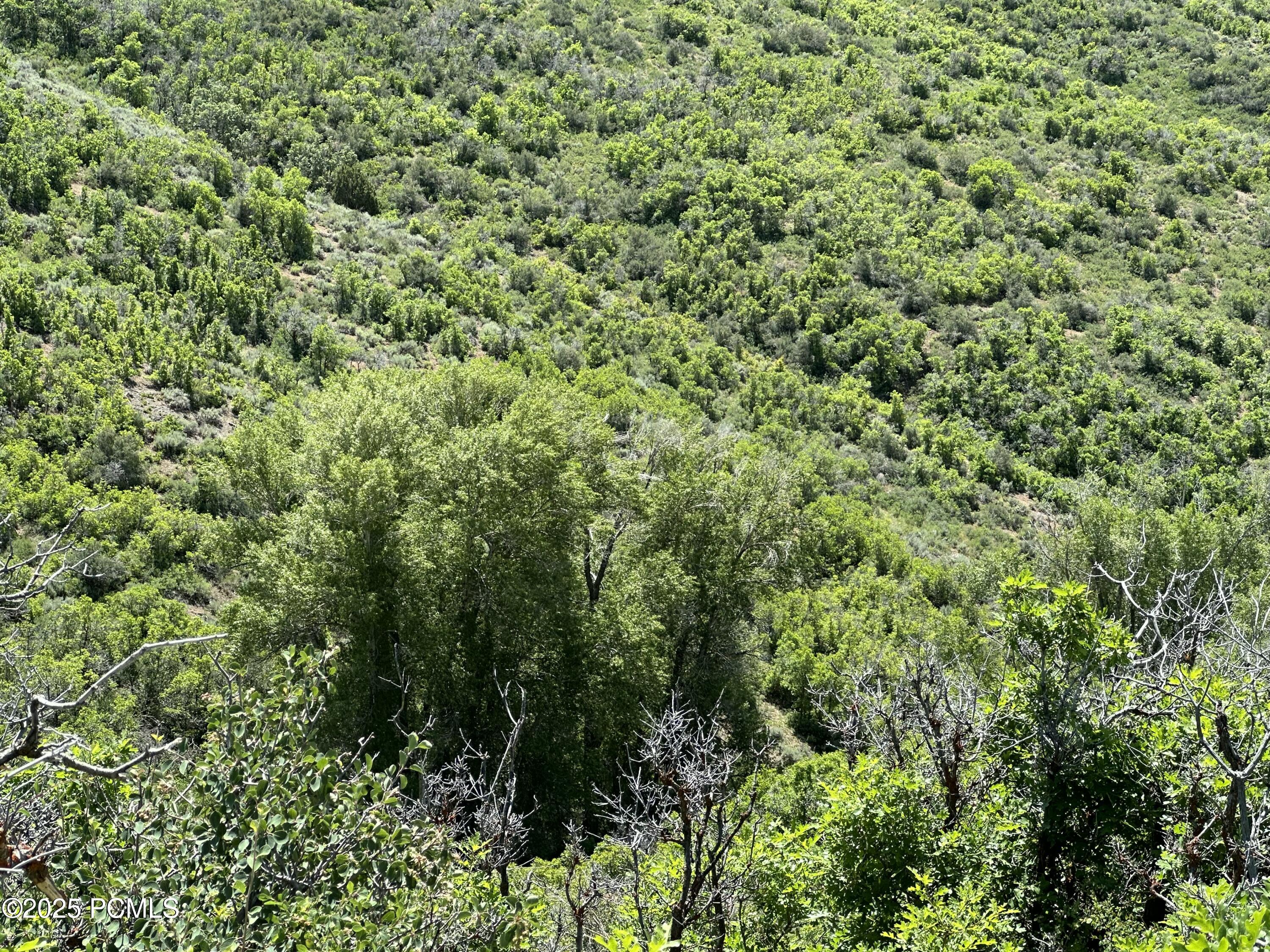 1354 E Gleaming Hills Way, Kamas, Utah image 23