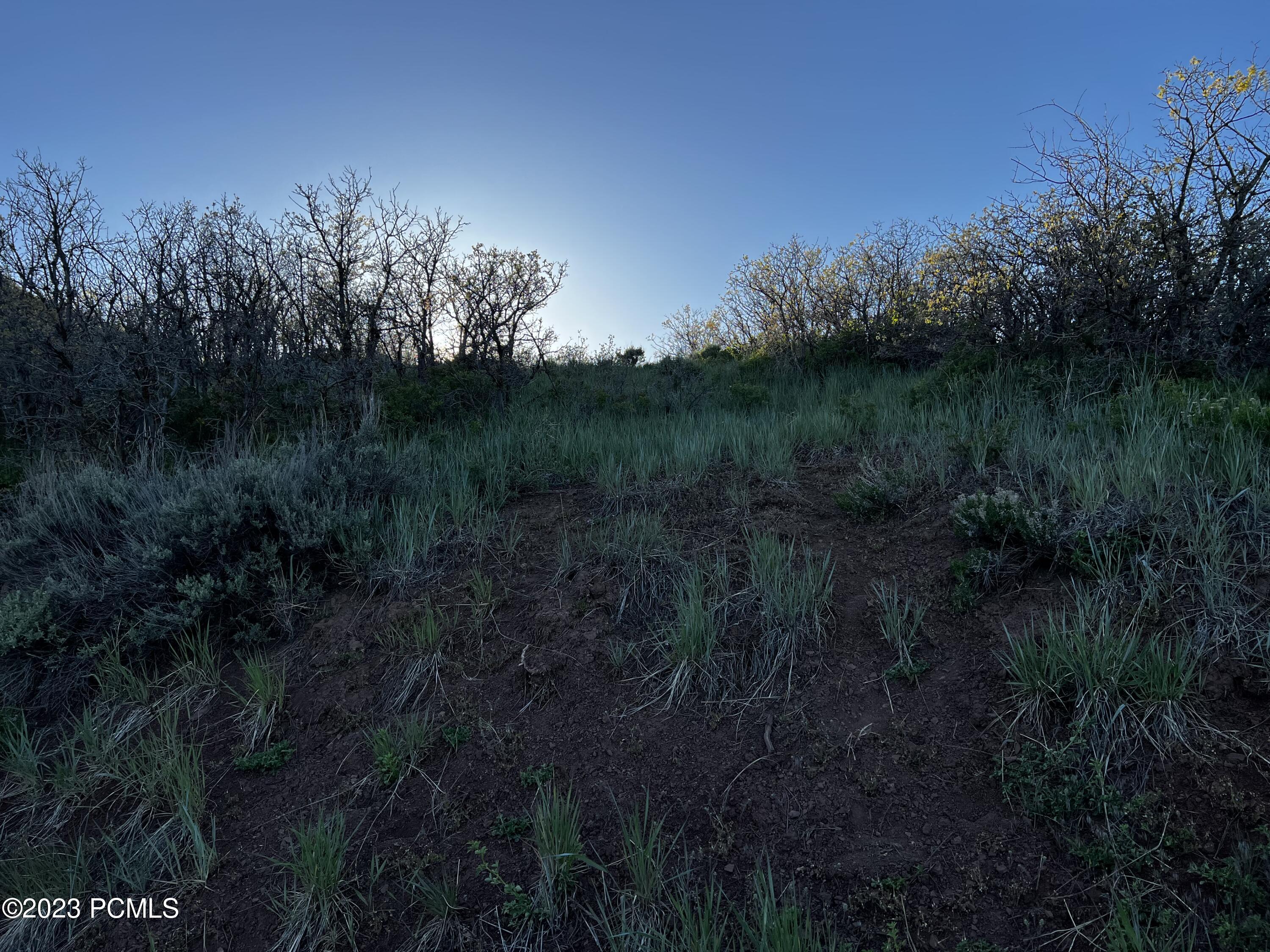 63 Switzer Drive, Midway, Utah image 13