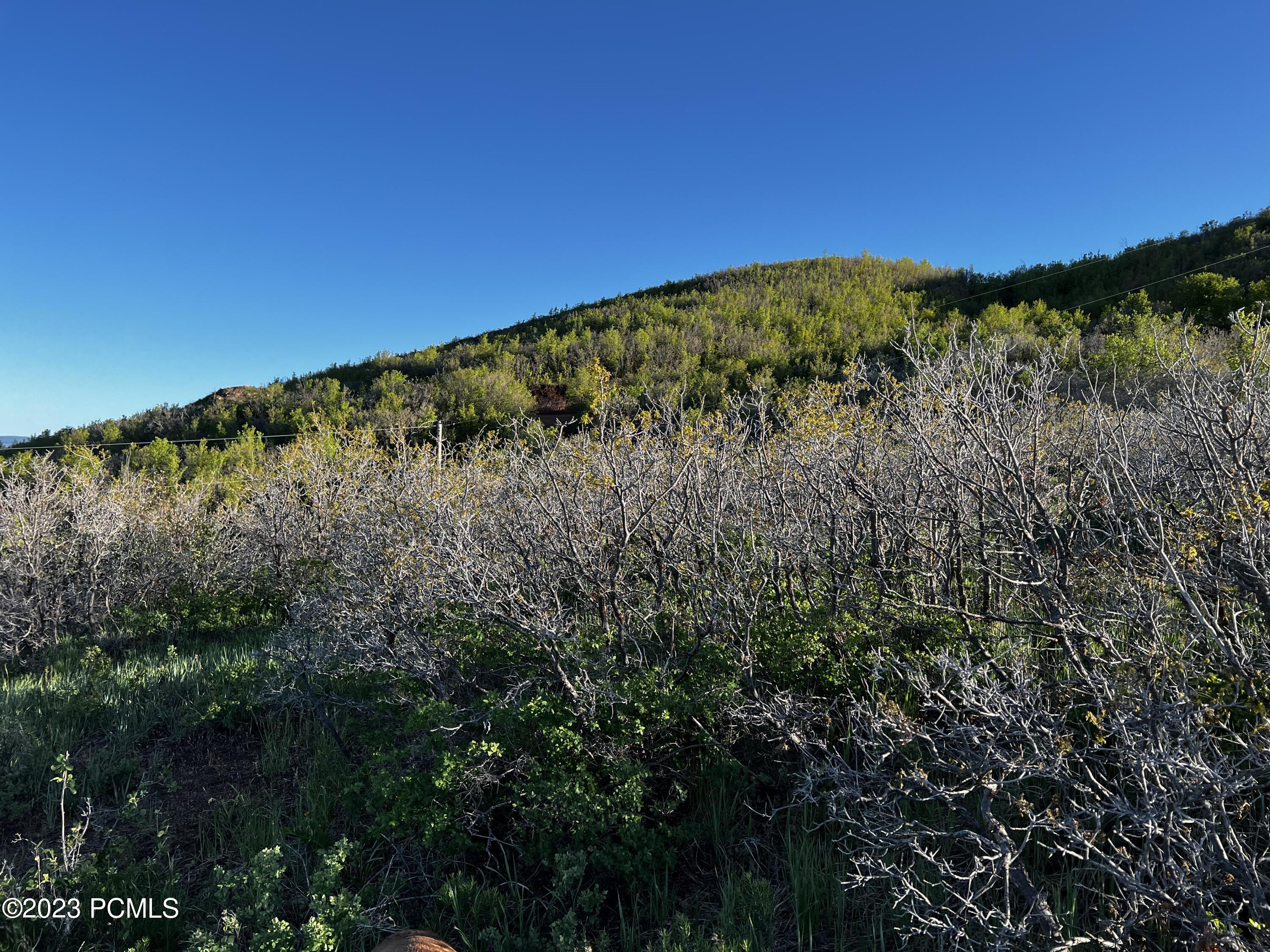 63 Switzer Drive, Midway, Utah image 6