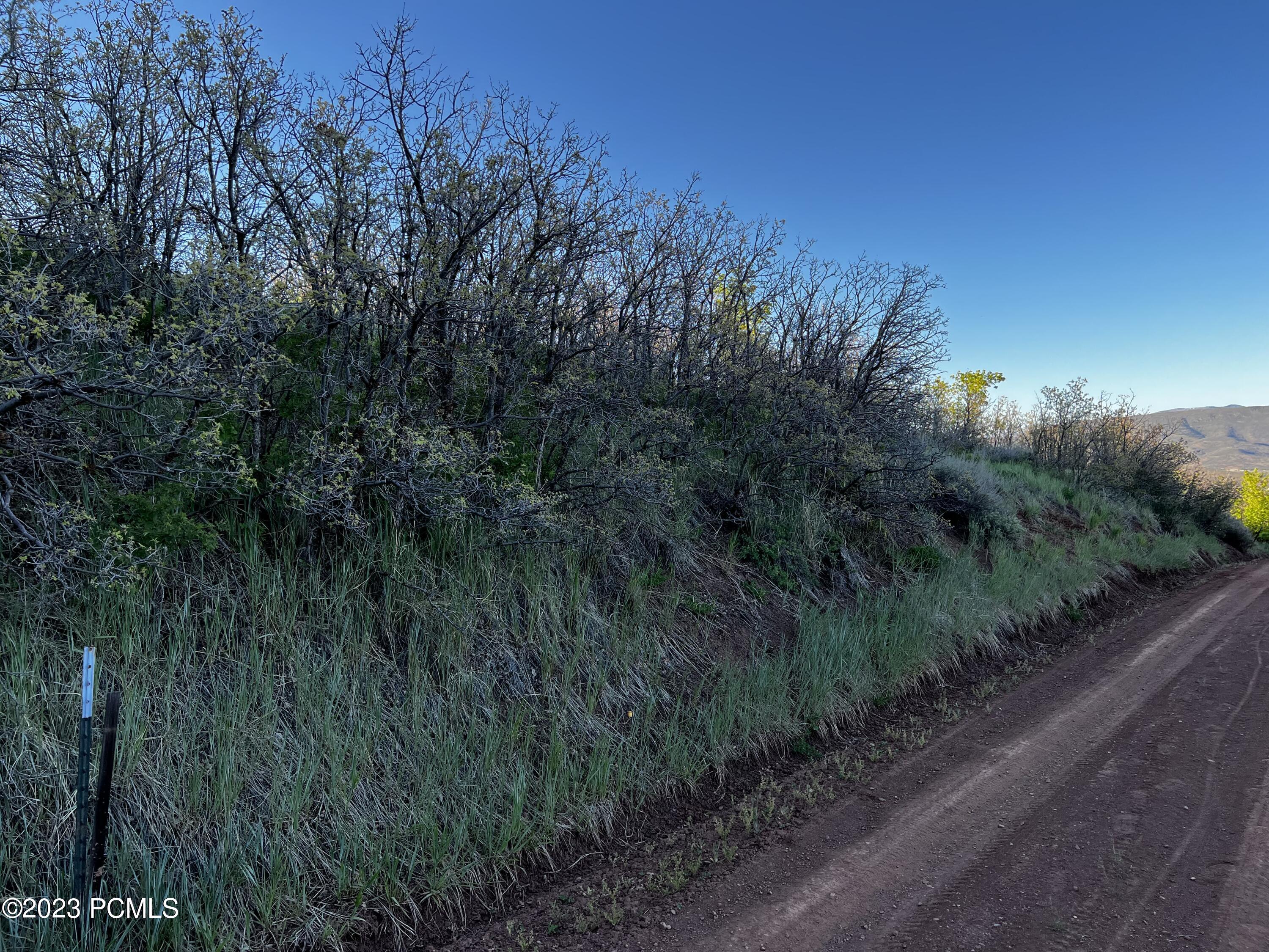 63 Switzer Drive, Midway, Utah image 16