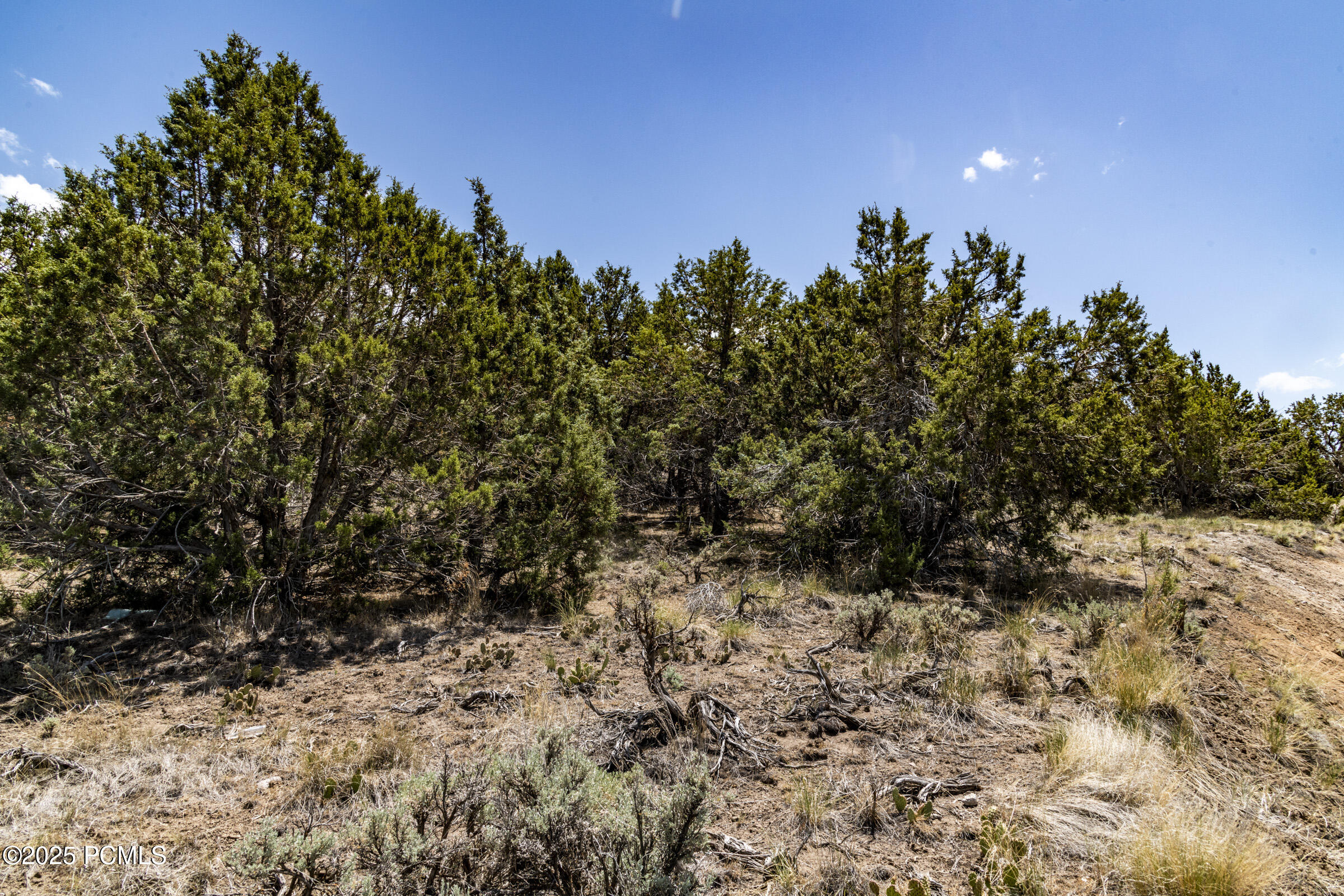 Heber City, Utah 84032, United States, ,Land,Active,8906