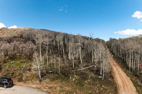 Vacant Land For Sale - 199 Mountain View Road<br/> Oakley, UT 84055