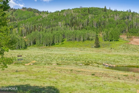 Featured picture for the property 12503038