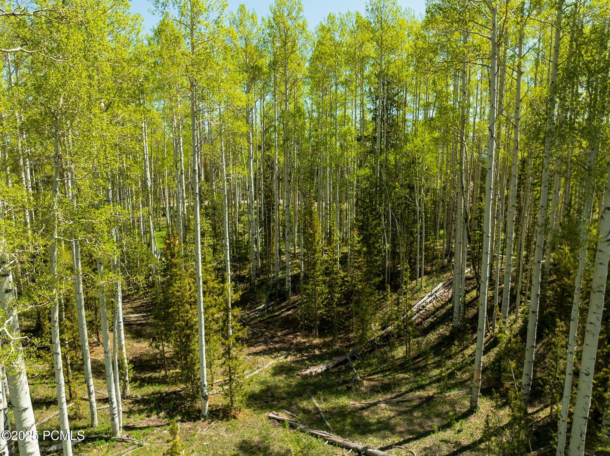 2045 Stillwater Loop, Kamas, Utah image 19