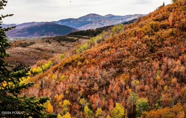 7827 Tall Oaks Drive, Park City, Utah image 29