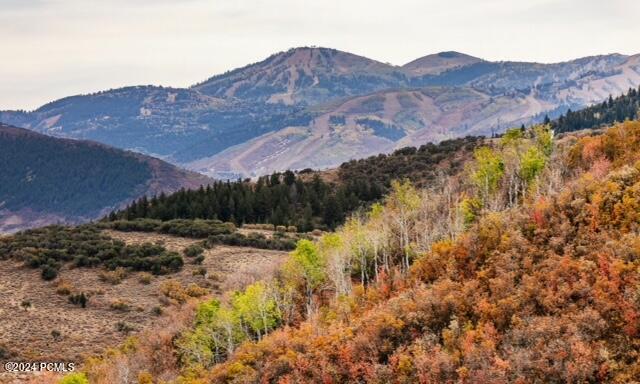 7827 Tall Oaks Drive, Park City, Utah image 10