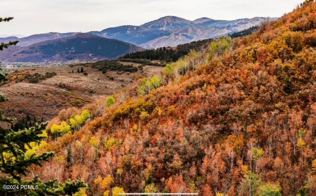 7827 Tall Oaks Drive, Park City, Utah image 3