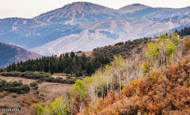 7827 Tall Oaks Drive, Park City, Utah image 9