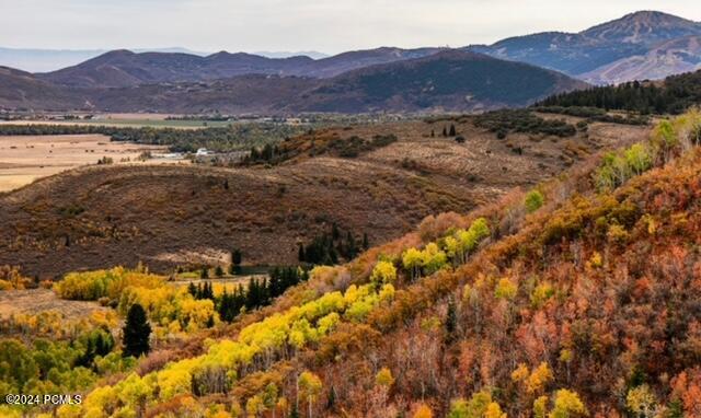 7827 Tall Oaks Drive, Park City, Utah image 2