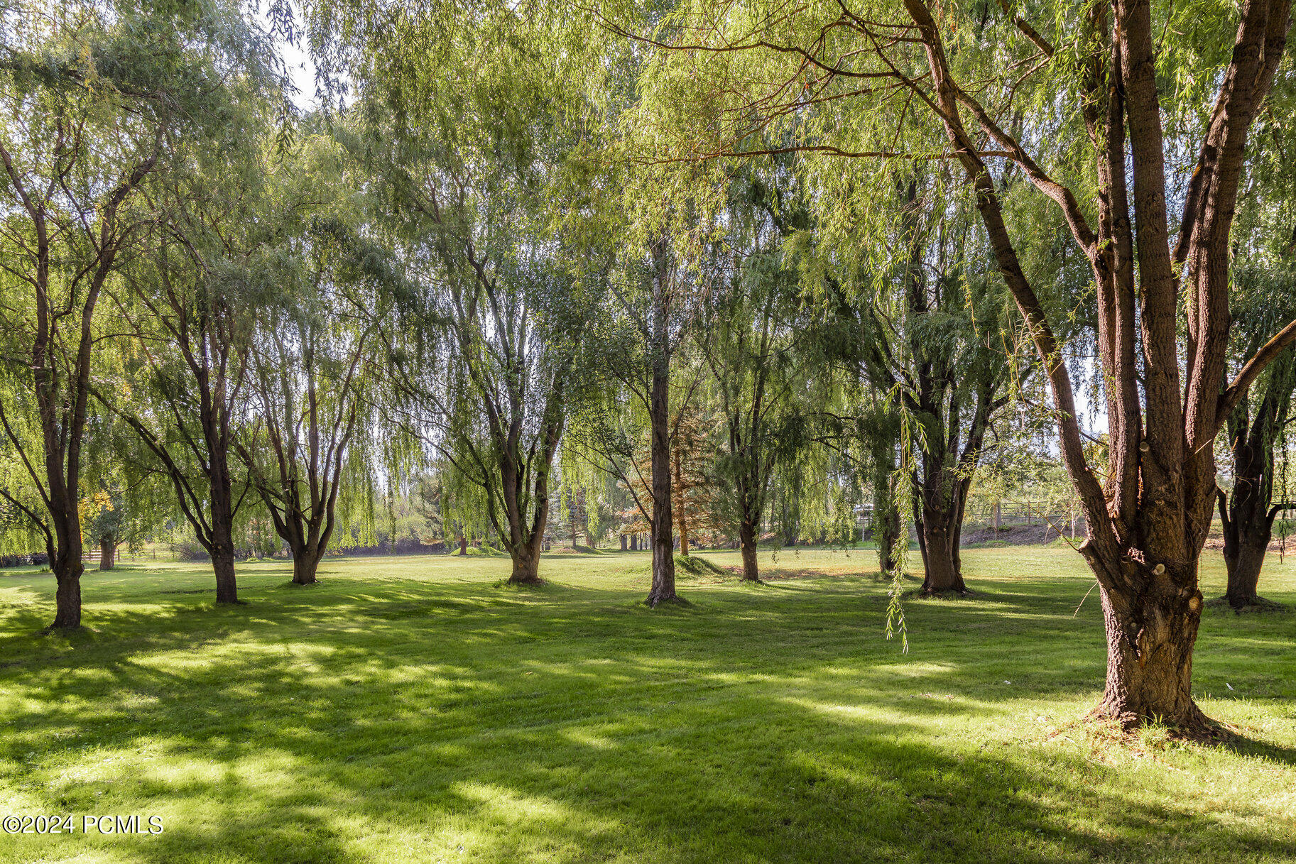 2043 W Midway Lane, Heber City, Utah image 10