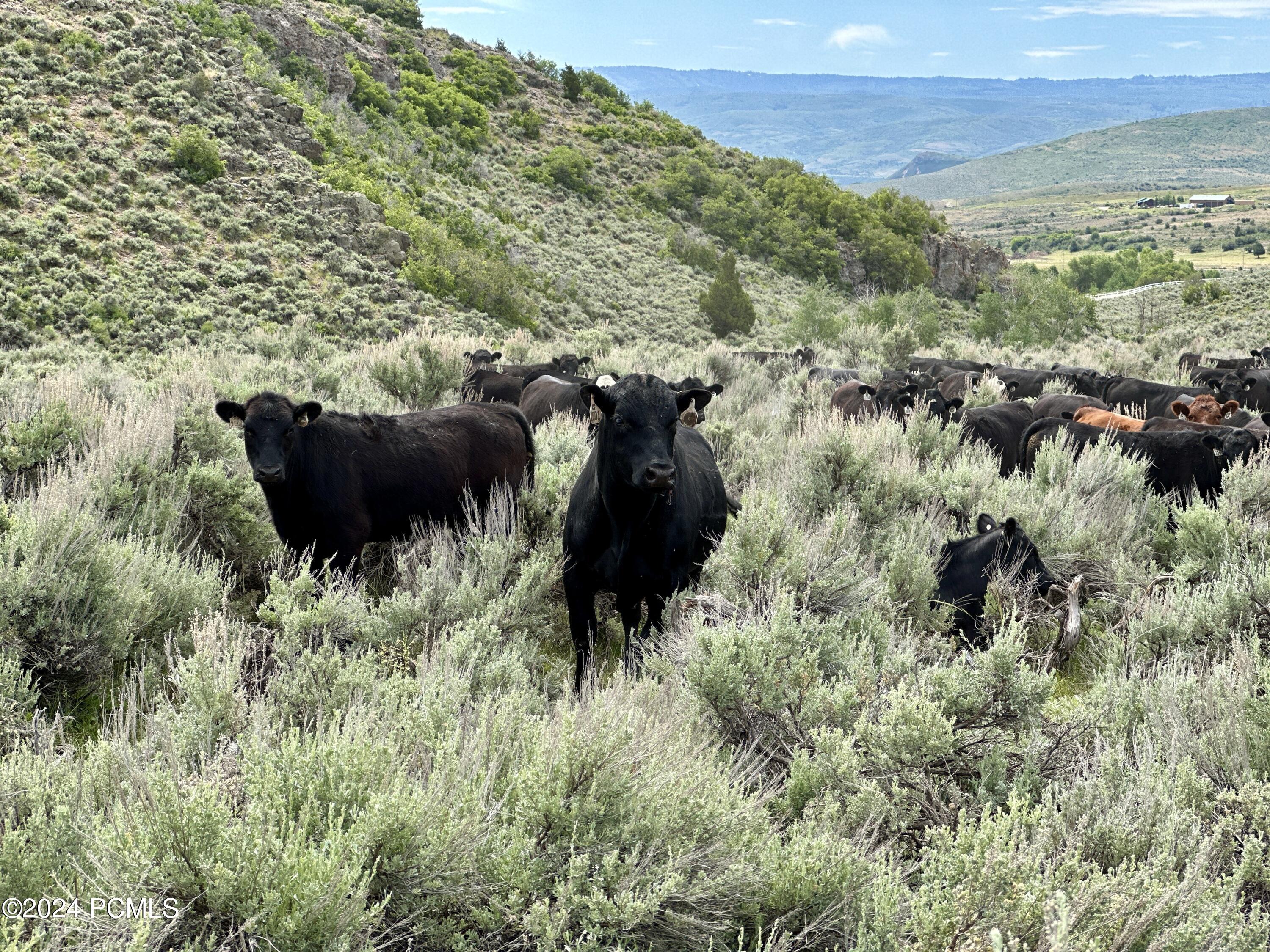 Kamas, Utah 84036, United States, ,Land,Pending,39770