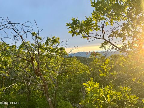 Vacant Land For Sale - 1556 S Tree Top Lane<br/> Wasatch County, Heber City, UT 84032