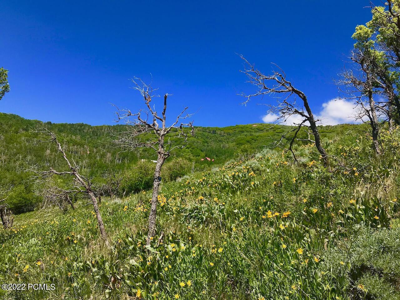 166 Canyon Rim, Oakley, Utah image 13