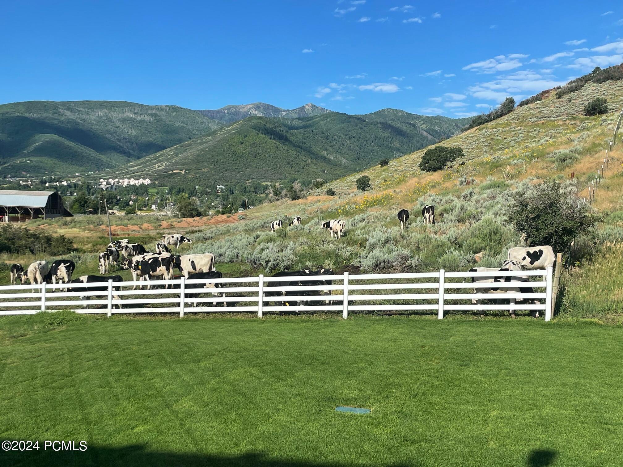 1441 N Jerry Gertsch Lane, Midway, Utah image 26