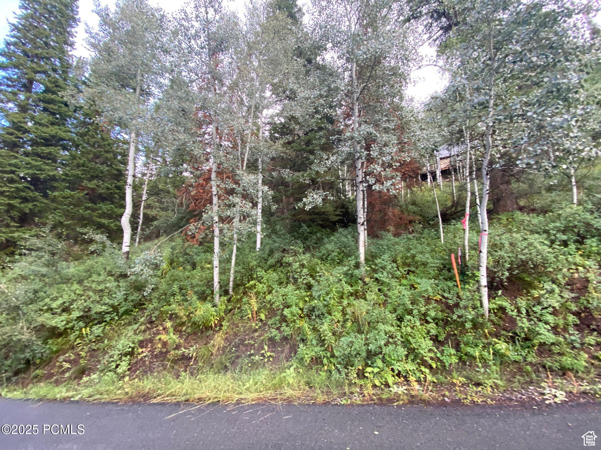 551 Red Fir Way Way, Oakley, Utah image 5