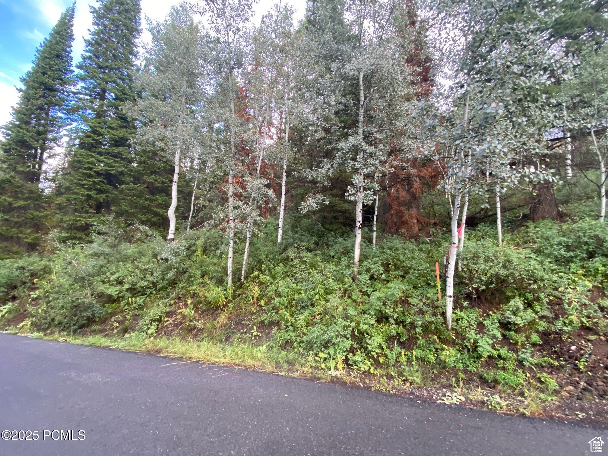 551 Red Fir Way Way, Oakley, Utah image 11