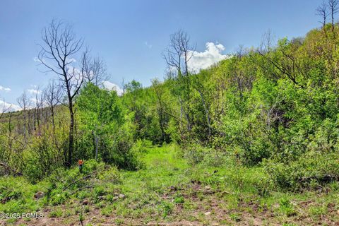 Vacant Land For Sale - 4967 S Woodland Way<br/> Kamas, UT 84036