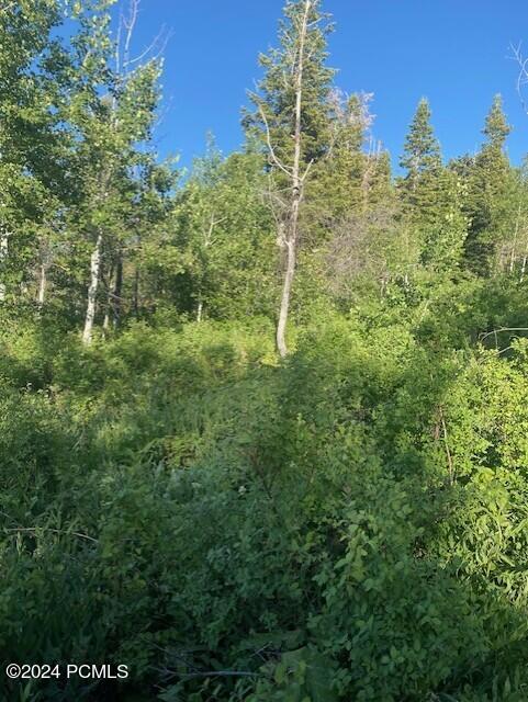 969 W Deep Forest Road, Coalville, Utah image 7